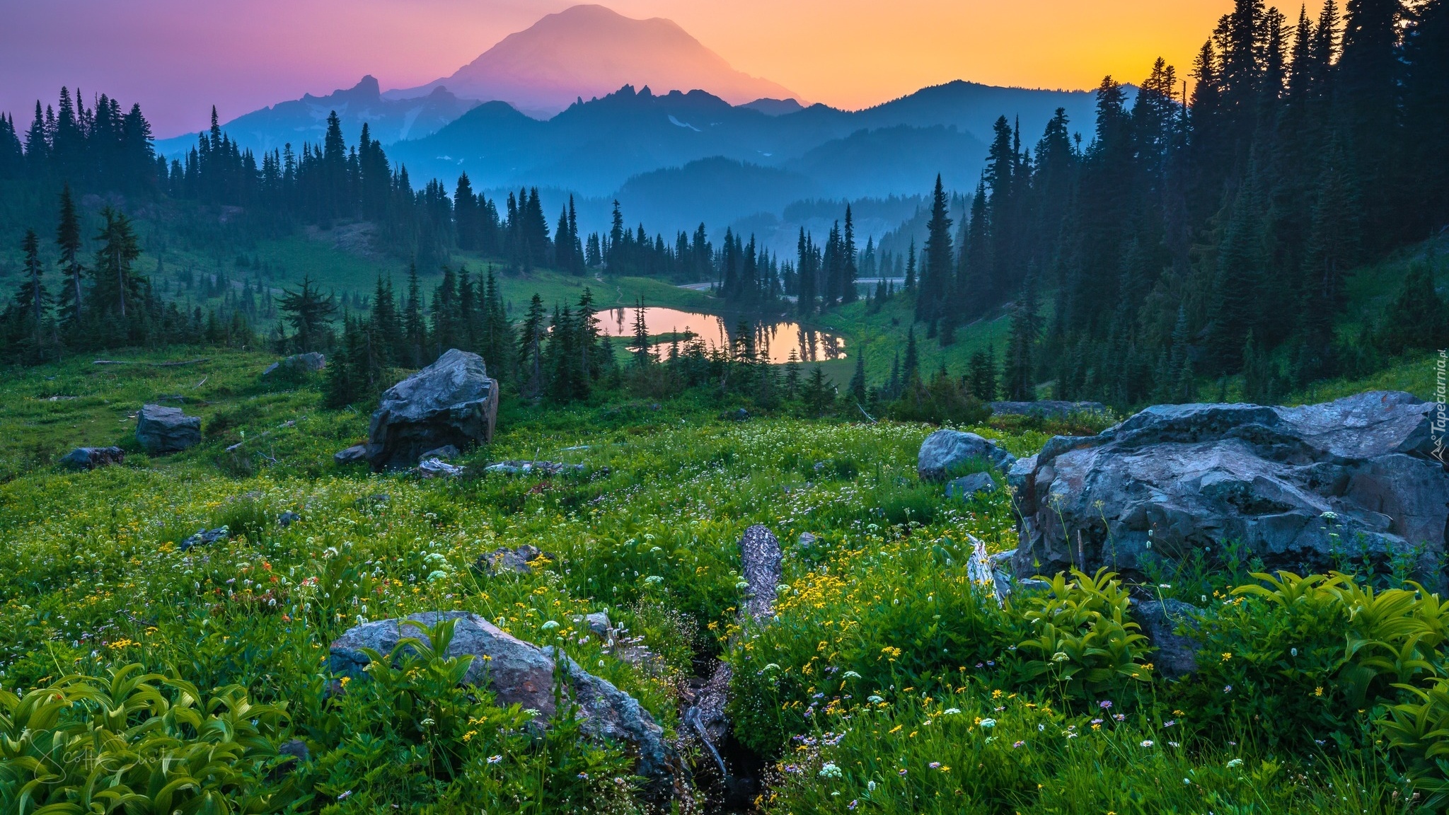 Stany Zjednoczone, Stan Waszyngton, Park Narodowy Mount Rainier, Jezioro, Las, Drzewa, Góry, Łąka, Kwiaty, Kamienie