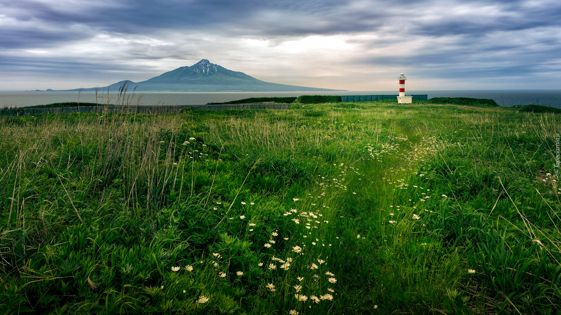 Łąka, Kwiaty, Latarnia morska, Góra, Mount Rishiri, Wyspa Rishiri, Japonia