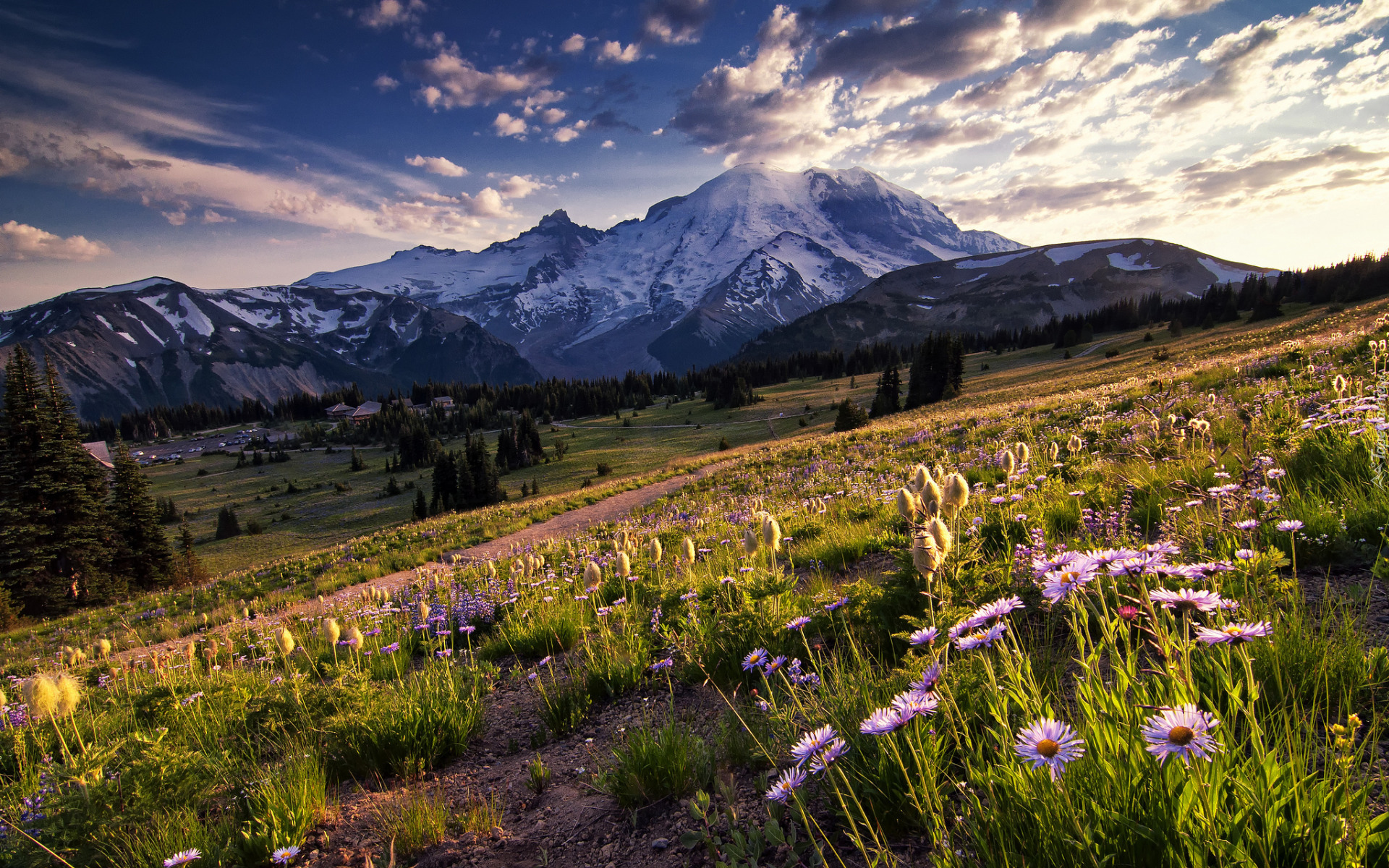 Góry, Stratowulkan, Mount Rainier, Drzewa, Dolina, Łąka, Kwiaty, Park Narodowy Mount Rainier, Stan Waszyngton, Stany Zjednoczone