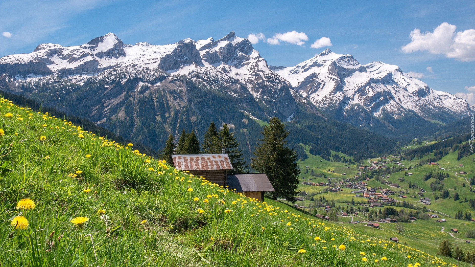 Góry, Alpy Berneńskie, Łąka, Dolina, Domy, Szwajcaria