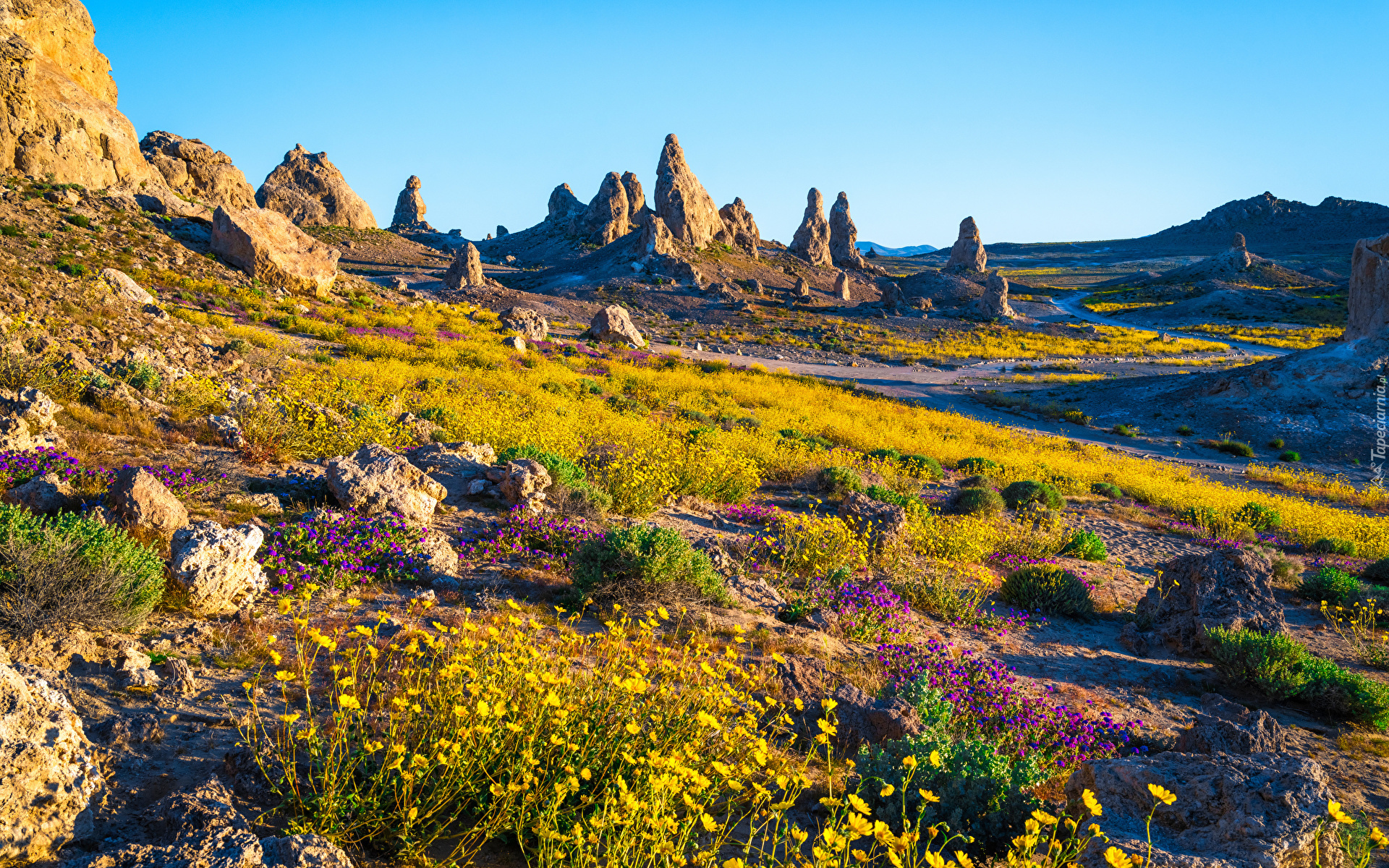 Stany Zjednoczone, Kalifornia, Park Trona Pinnacles, Góry, Skały, Kamienie, Roślinność, Słoneczny, Dzień