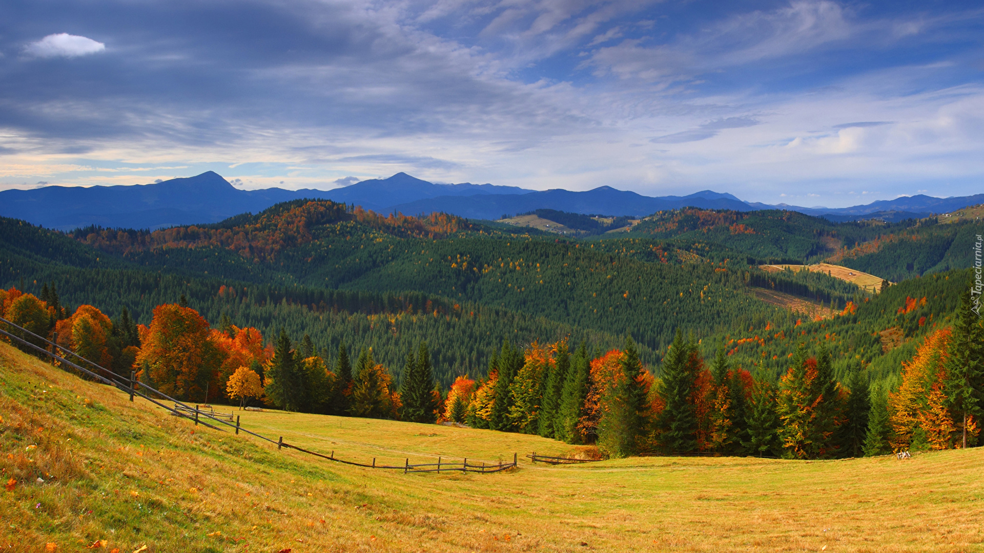 Góry, Lasy, Jesień, Łąki, Drzewa