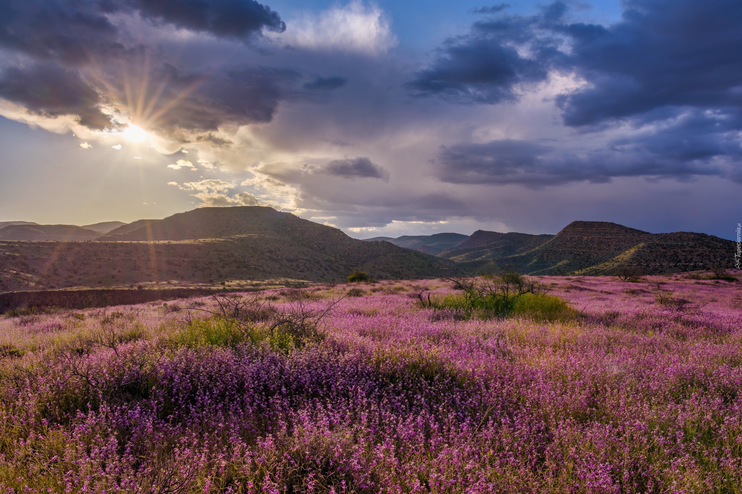 Łąka, Góry, Chmury, Słońce, Wzgórza, Clarkdale, Arizona, Stany Zjednoczone