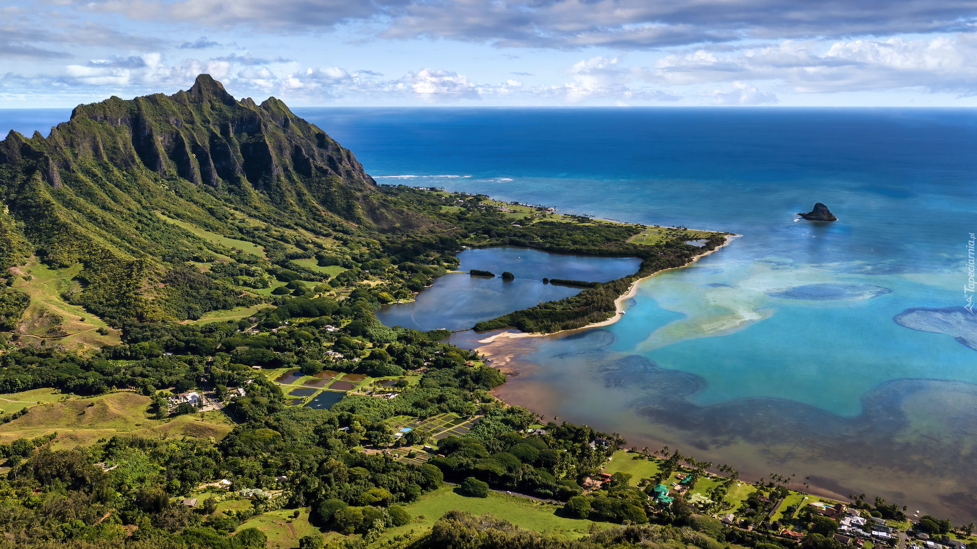 Z lotu ptaka, Wybrzeże, Góry, Pola, Drzewa, Morze, Zatoka, Drzewa, Kailua, Wyspa Oahu, Hawaje, Stany Zjednoczone