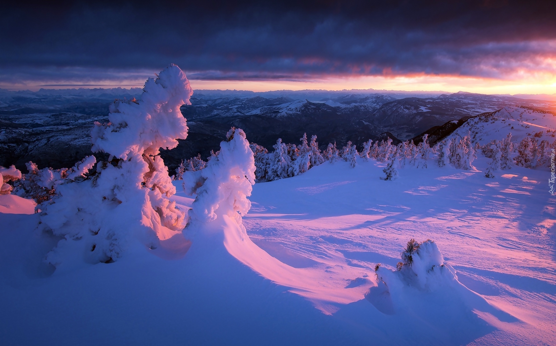 Francja, Mont Ventoux, Góry, Prealpy Francuskie, Las, Wschód Słońca, Zima