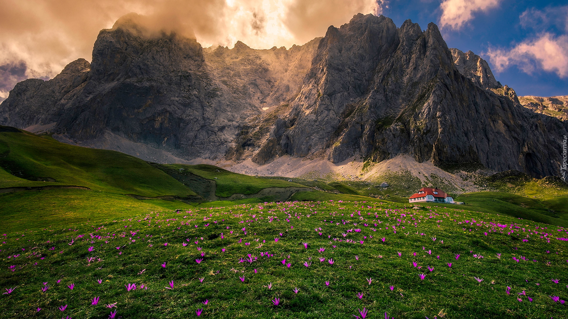 Góry Kantabryjskie, Masyw Picos de Europa, Polana, Kwiaty, Łąka, Dom, Asturia, Hiszpania