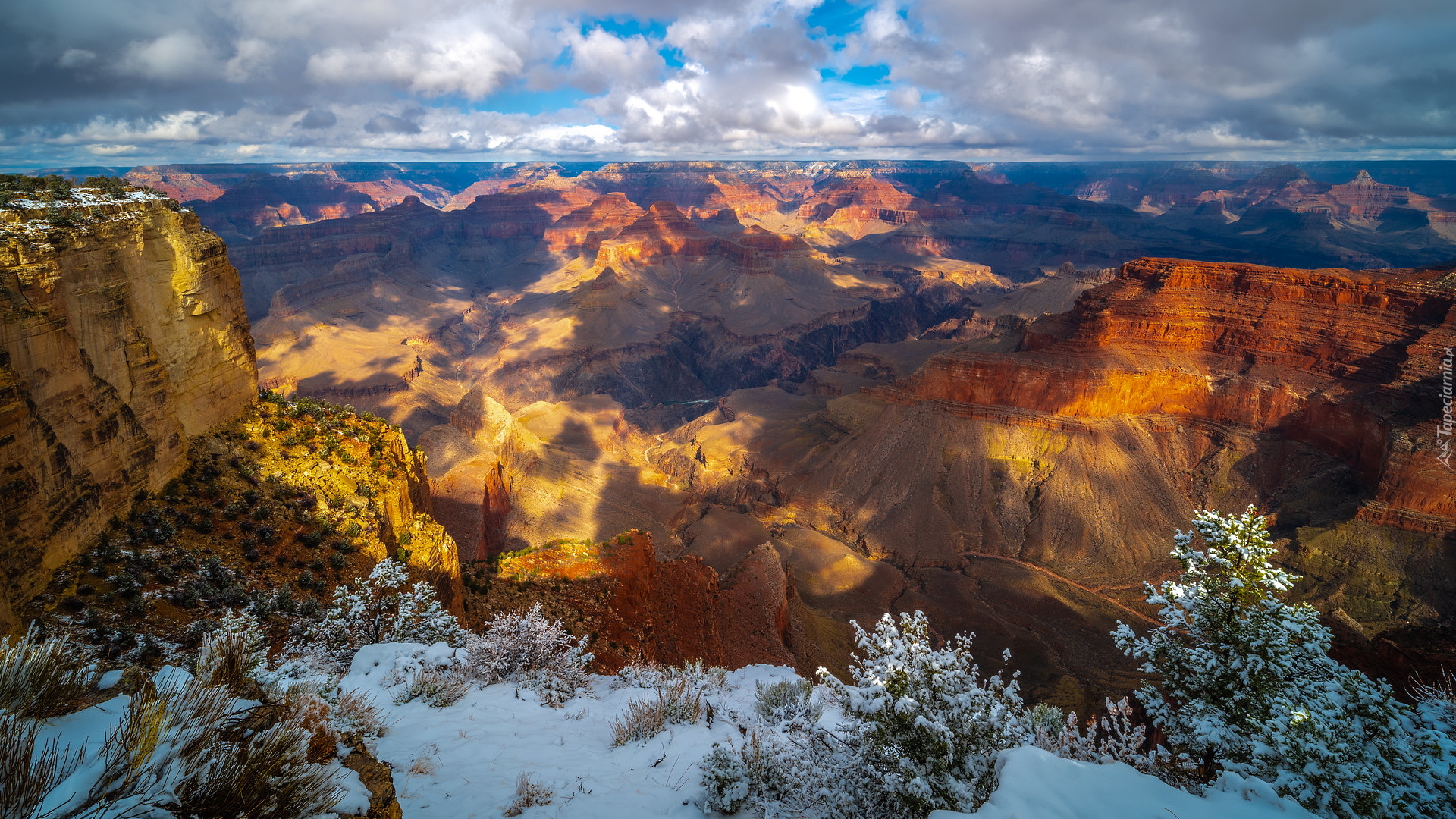 Park Narodowy Wielkiego Kanionu, Wielki Kanion Kolorado, Grand Canyon, Rośliny, Śnieg, Góry, Arizona, Stany Zjednoczone