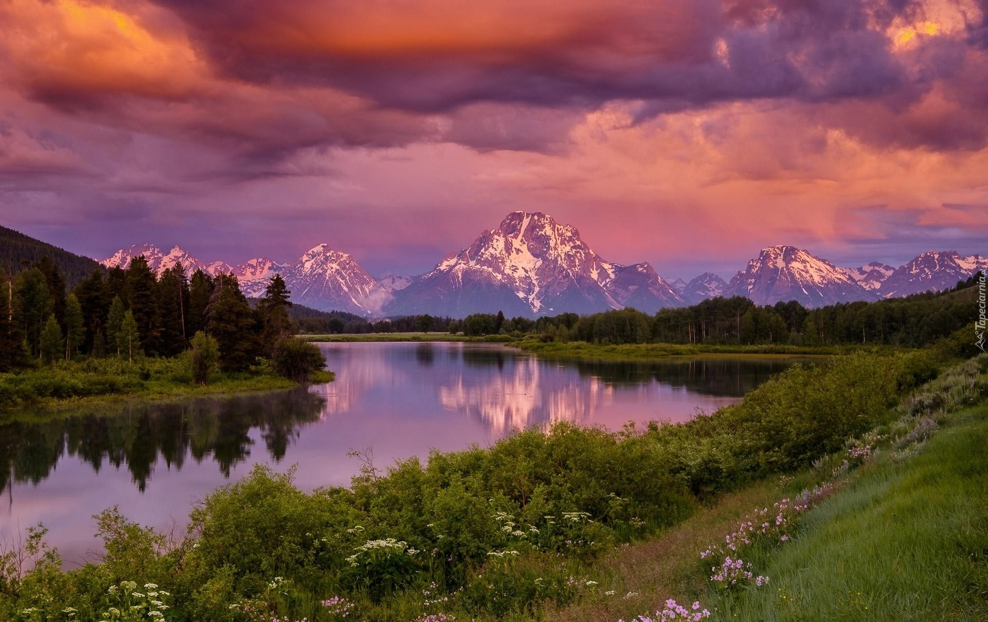 Stany Zjednoczone, Stan Wyoming, Park Narodowy Grand Teton, Rzeka Snake River, Góry, Góra Mount Moran, Drzewa