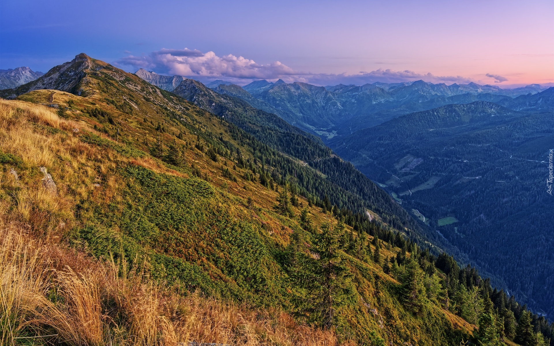 Góry, Schladminger Tauern, Dolina, Lasy, Austria