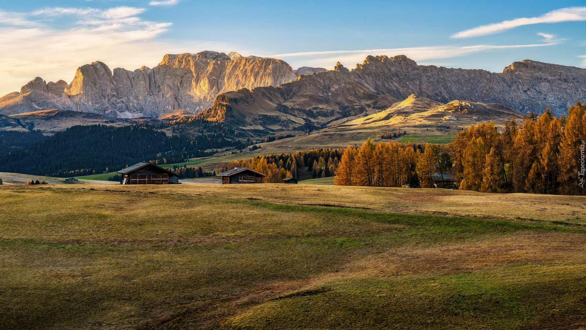 Włochy, Góry, Dolomity, Płaskowyż, Seiser Alm, Drzewa, Jesień, Domy