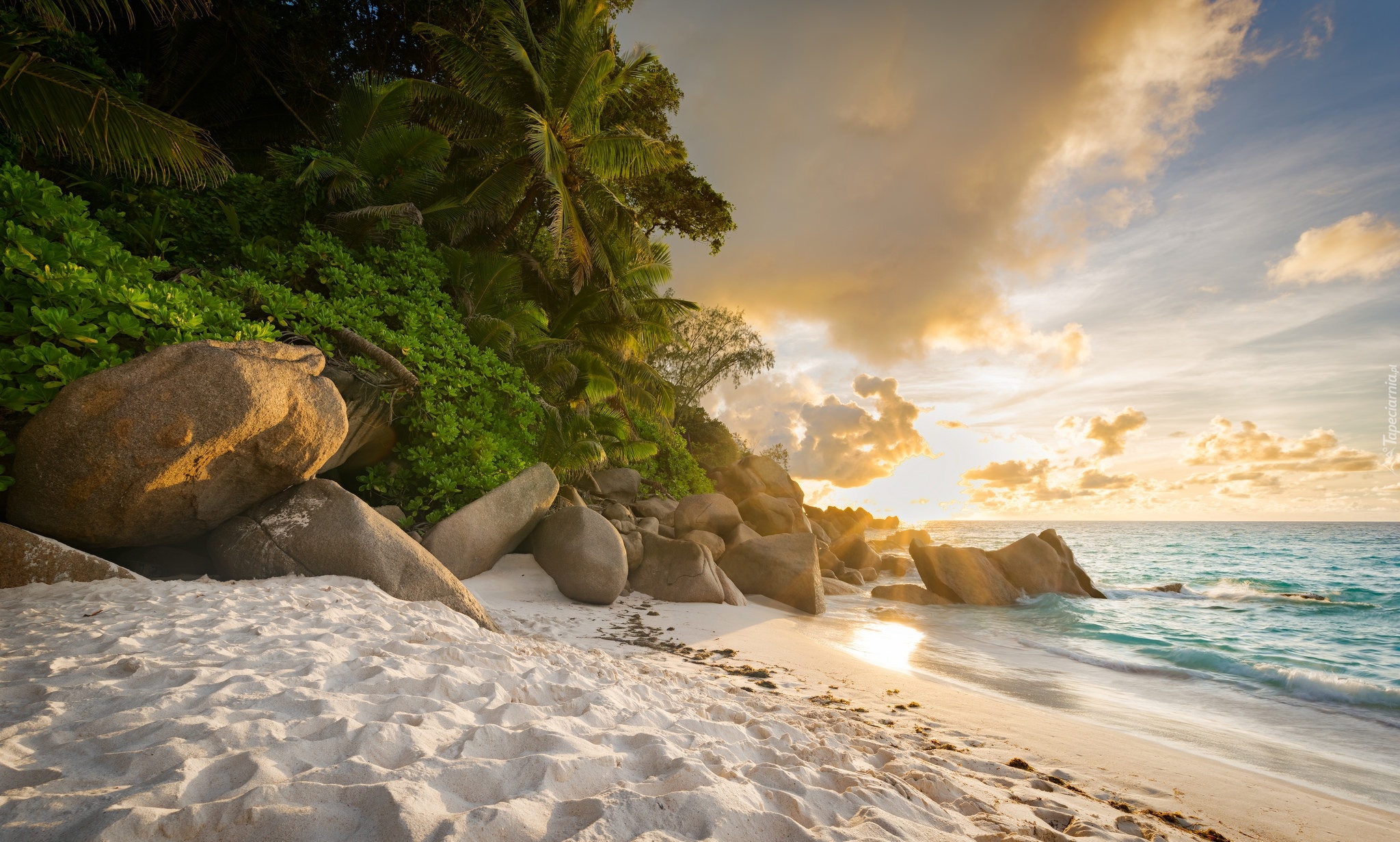 Plaża Anse, Morze, Brzeg, Kamienie, Palmy, Rośliny, Chmury, Wyspa Praslin, Seszele