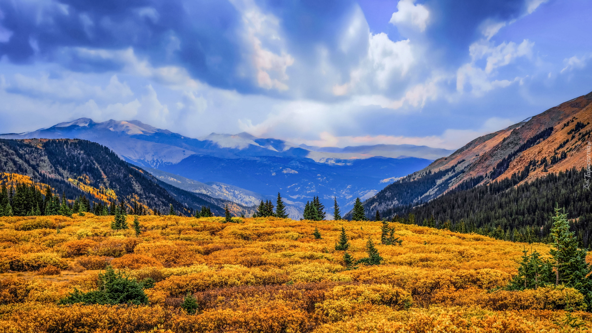 Stany Zjednoczone, Kolorado, Guanella Pass Summit, Góry, Polana, Las, Drzewa, Niebo, Chmury