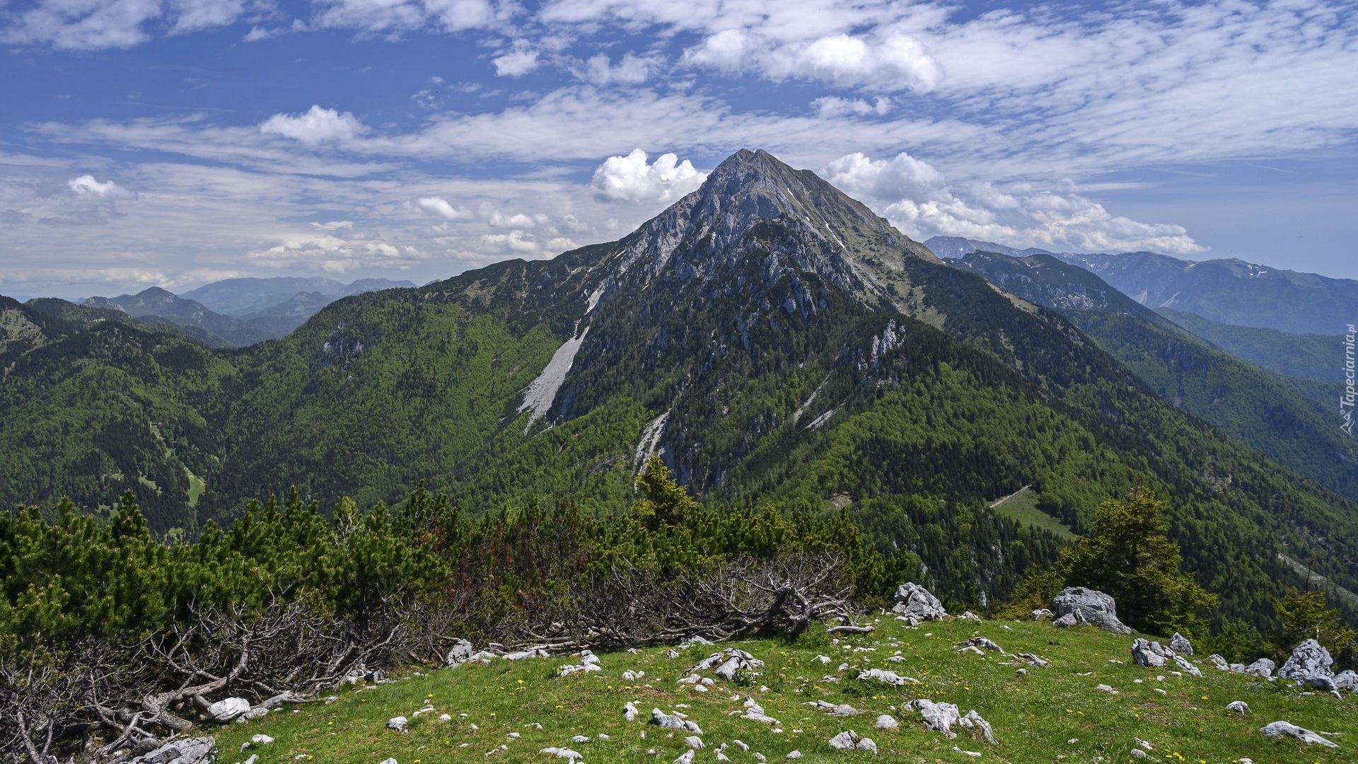 Zalesione, Góry, Alpy Kamnickie, Iglaki, Krzewy, Skały, Słowenia