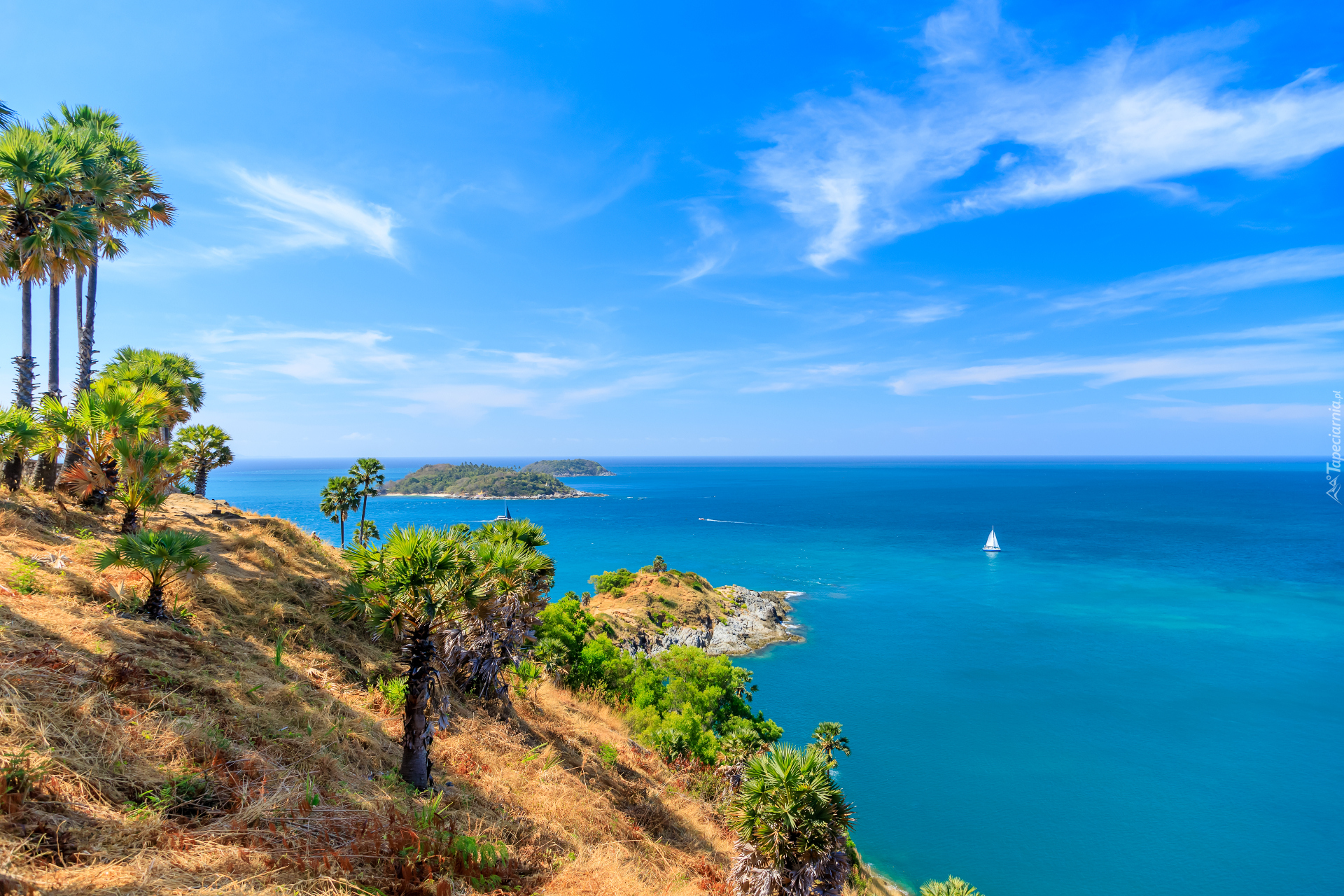 Tajlandia, Przylądek, Cape Phrom Thep, Morze Andamańskie, Drzewa