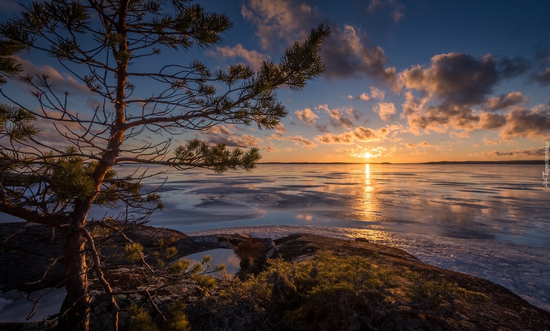Finlandia, Region Pirkanmaa, Jezioro Näsijärvi, Przylądek Murikka,  Jezioro, Zachód Słońca, Chmury, Sosna