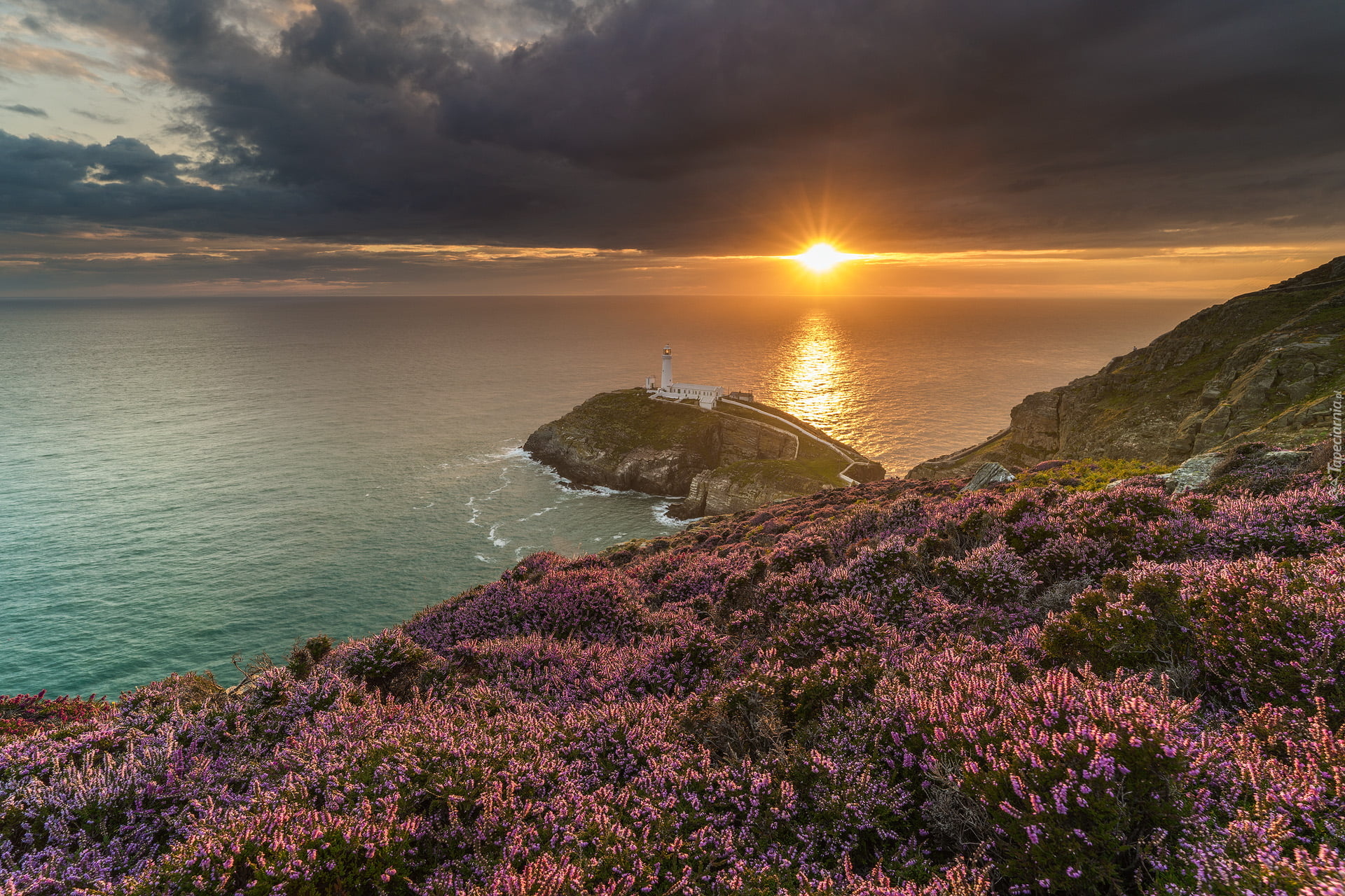 Latarnia morska South Stack, Zachód słońca, Ciemne chmury, Wrzosowisko, Morze, Anglesey, Walia