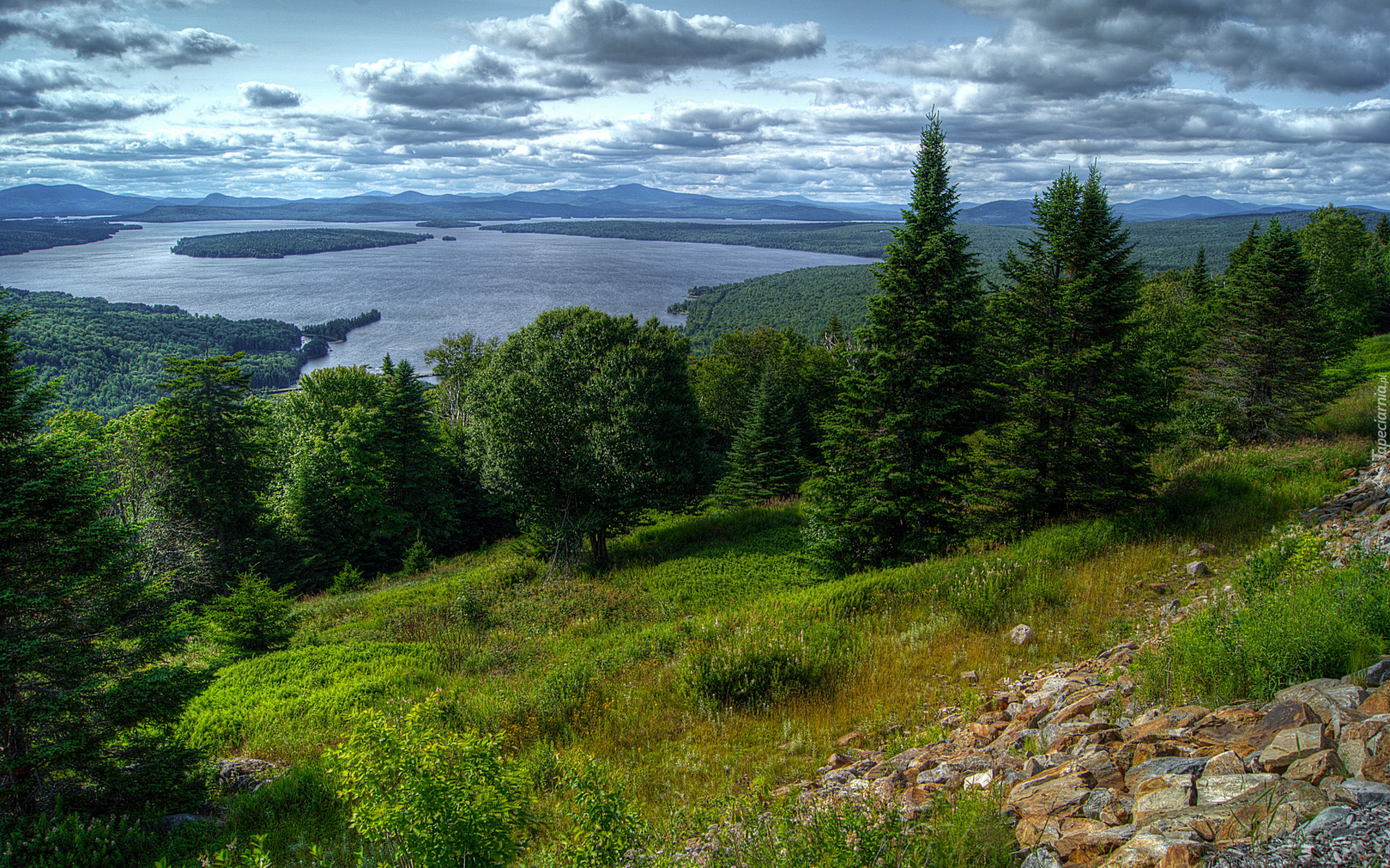 Chmury, Las, Drzewa, Kamienie, Stok, Rośliny, Jezioro, Mooselookmeguntic Lake, Stan Maine, Stany Zjednoczone