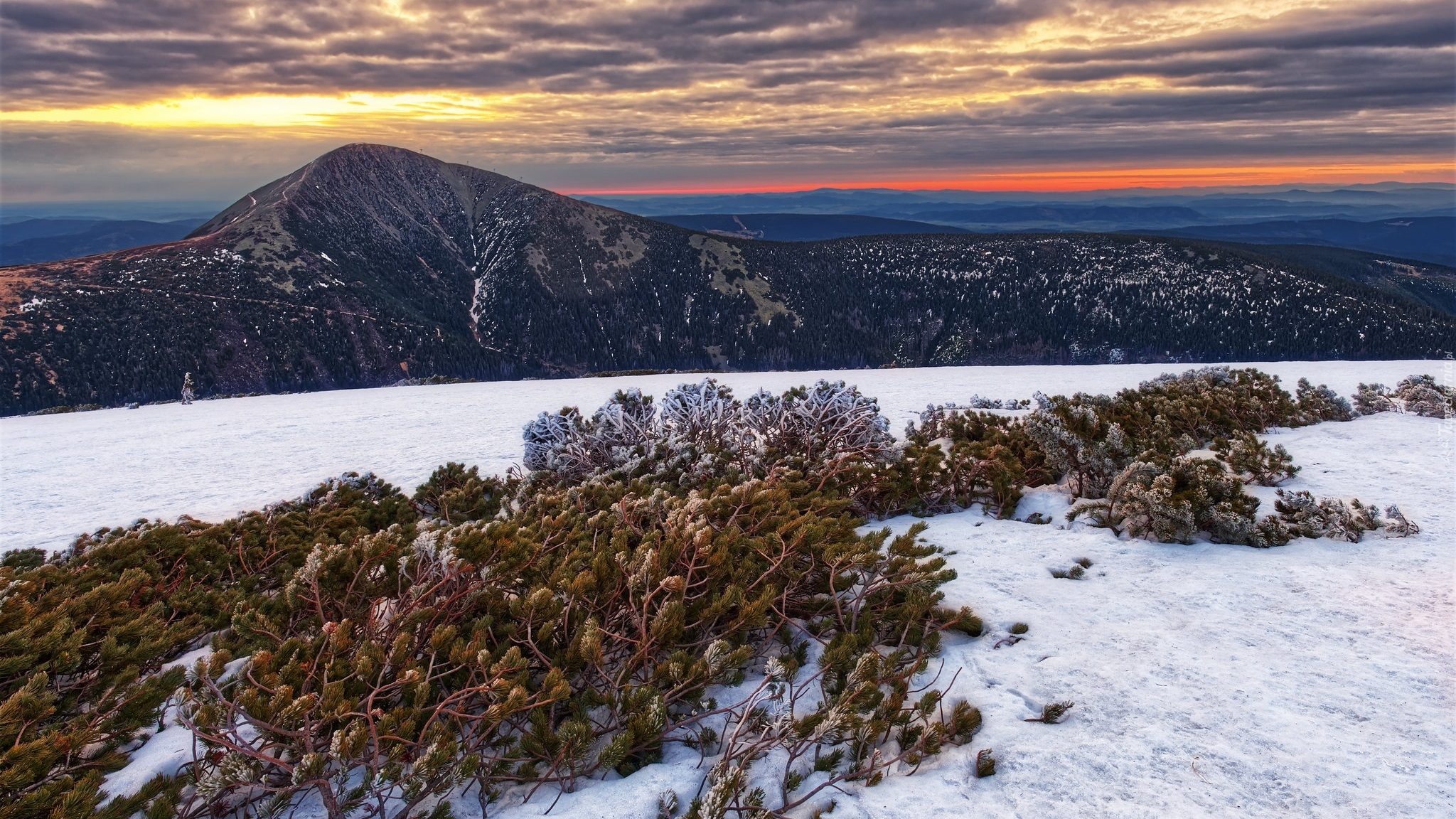 Wschód słońca, Góry, Karkonosze, Góra Śnieżka, Ośnieżone, Rośliny, Śnieg, Zima