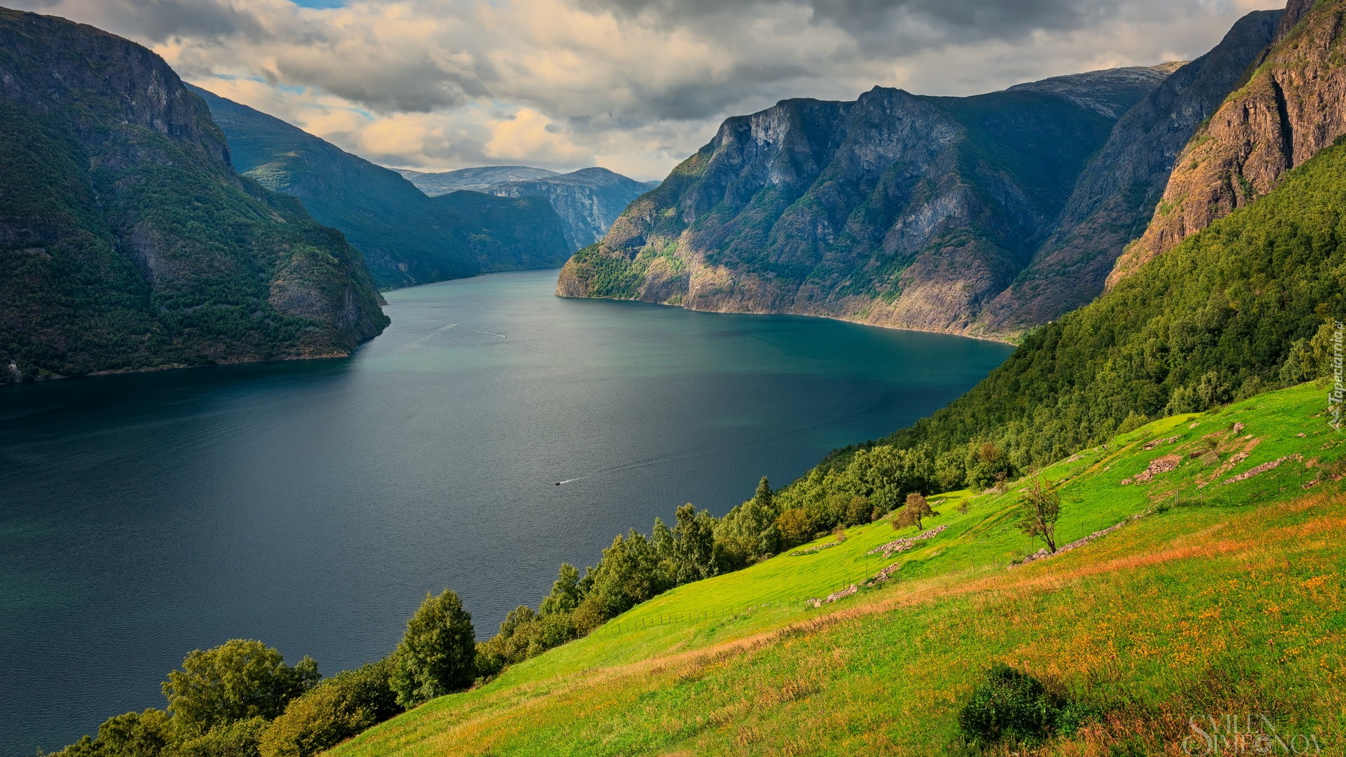 Zielone, Wzgórze, Drzewa, Góry, Fiord, Aurlandsfjord, Gmina Aurland, Norwegia