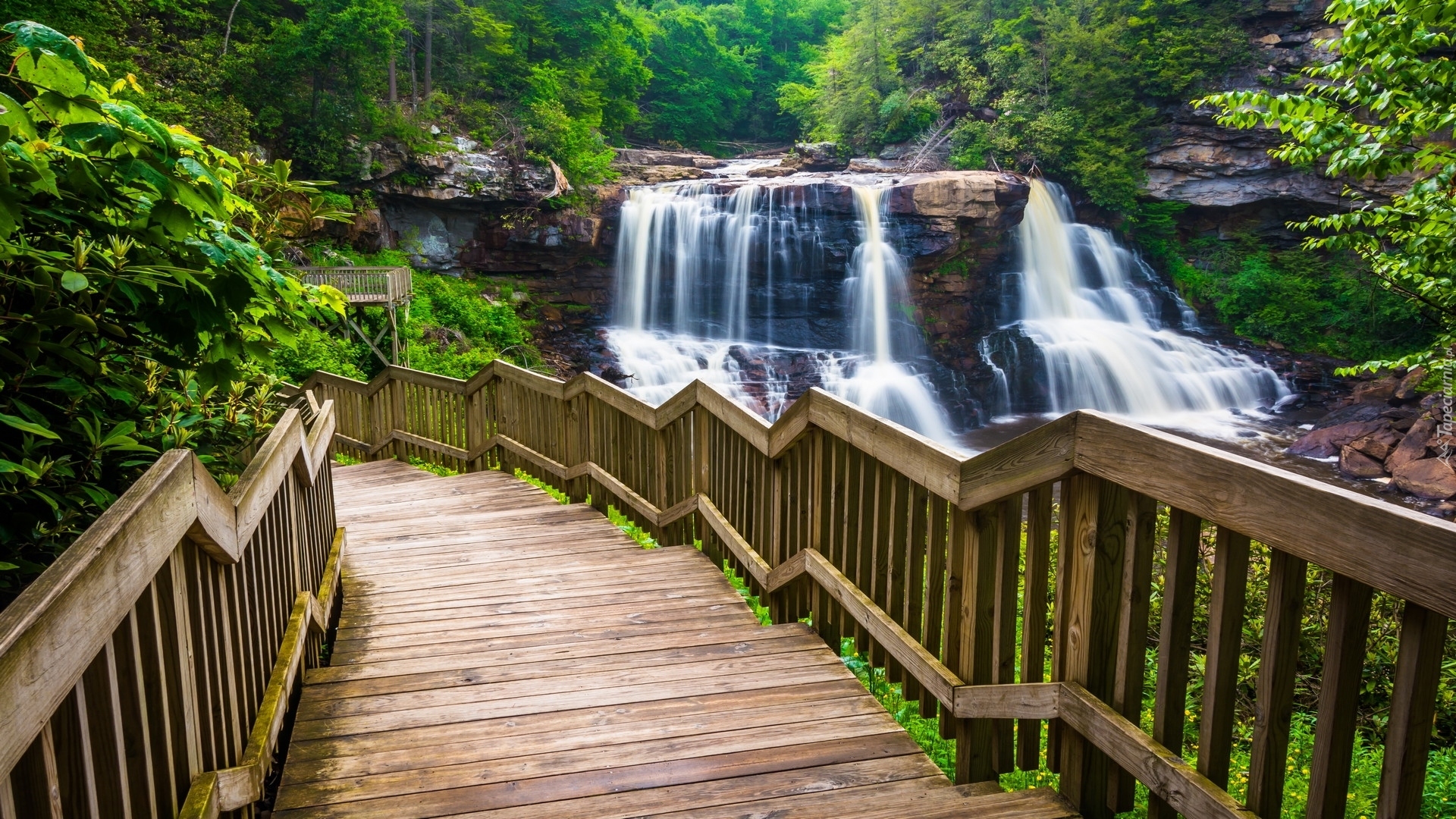 Stany Zjednoczone, Wirginia Zachodnia, Park stanowy Blackwater Falls, Wodospad Blackwater Falls, Las, Drzewa, Schody