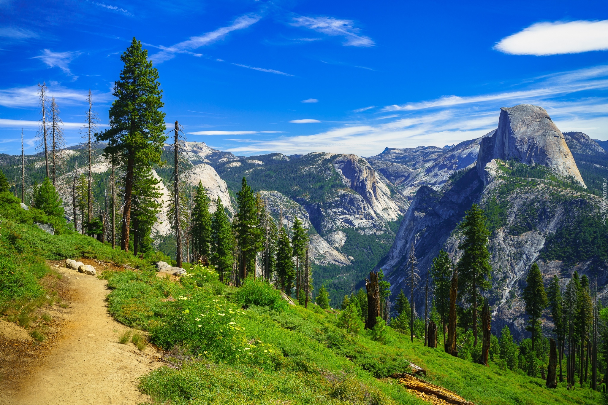 Góry, Sierra Nevada, Park Narodowy Yosemite, Ścieżka, Drzewa, Kalifornia, Stany Zjednoczone