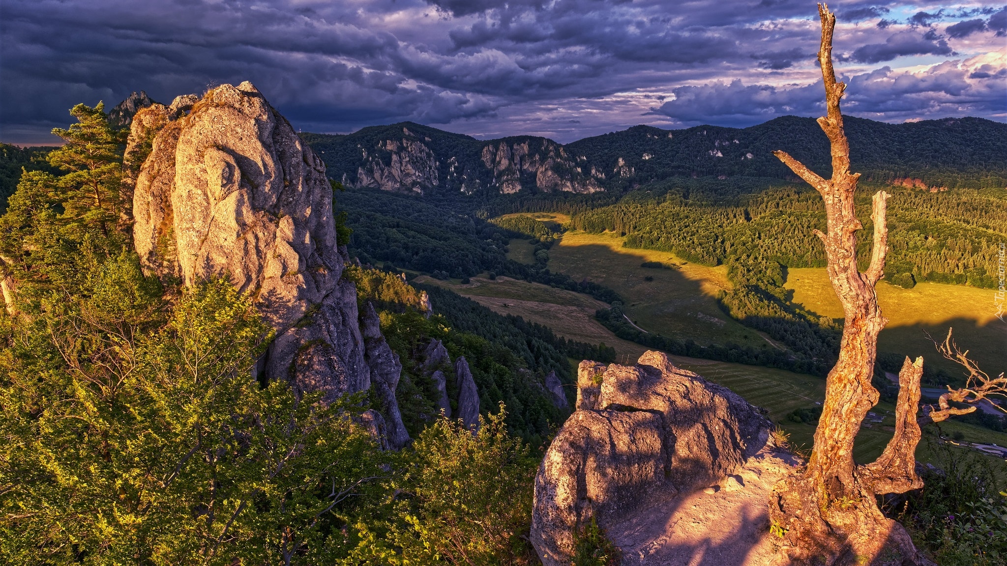 Góry, Dolina, Skały, Drzewa, Chmury