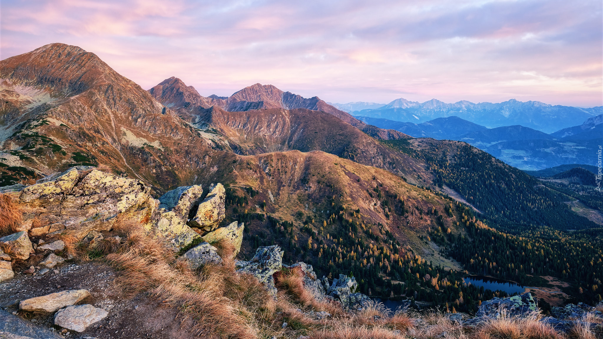 Skaliste, Góry, Niskie Taury, Skały, Drzewa, Trawa, Austria