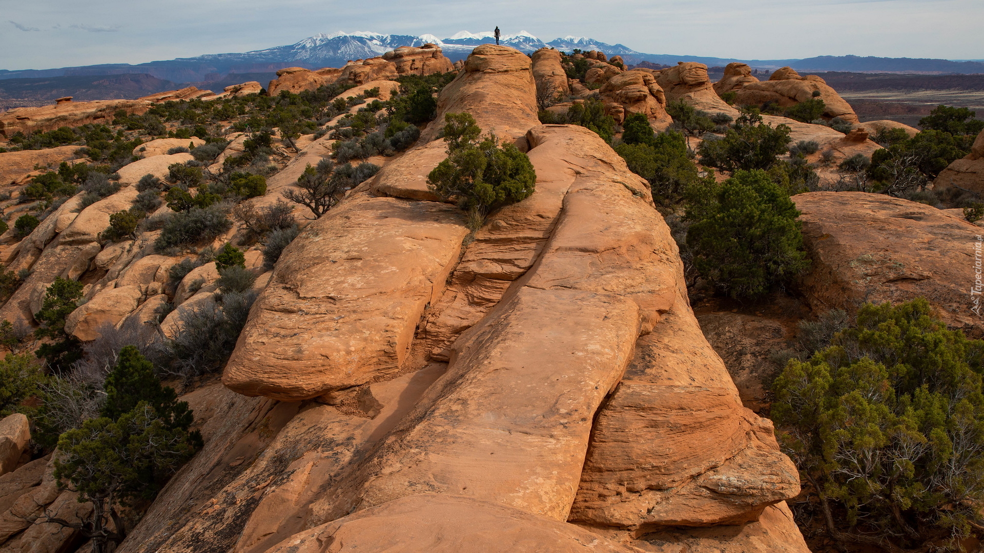 Skały, Park Narodowy Arches, La Sal Mountains, Stan Utah, Stany Zjednoczone