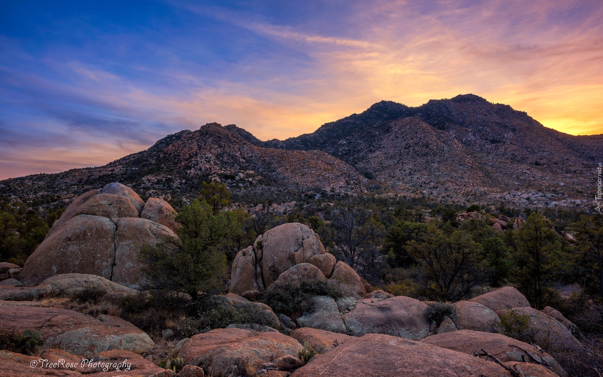 Góry, Skały, Drzewa, Zachód słońca, Prescott, Arizona, Stany Zjednoczone