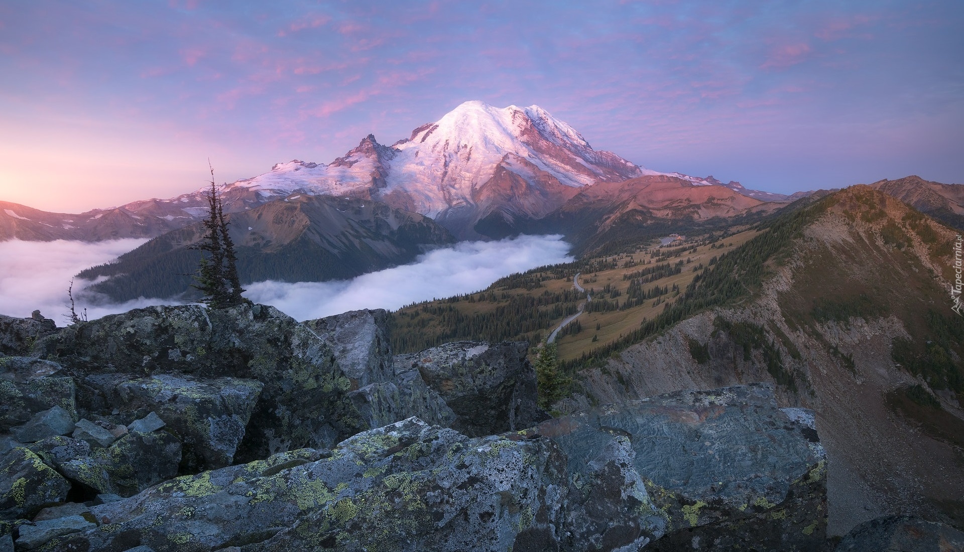 Góra, Mount Rainier, Park Narodowy Mount Rainier, Las, Drzewa, Mgła, Stan Waszyngton, Stany Zjednoczone