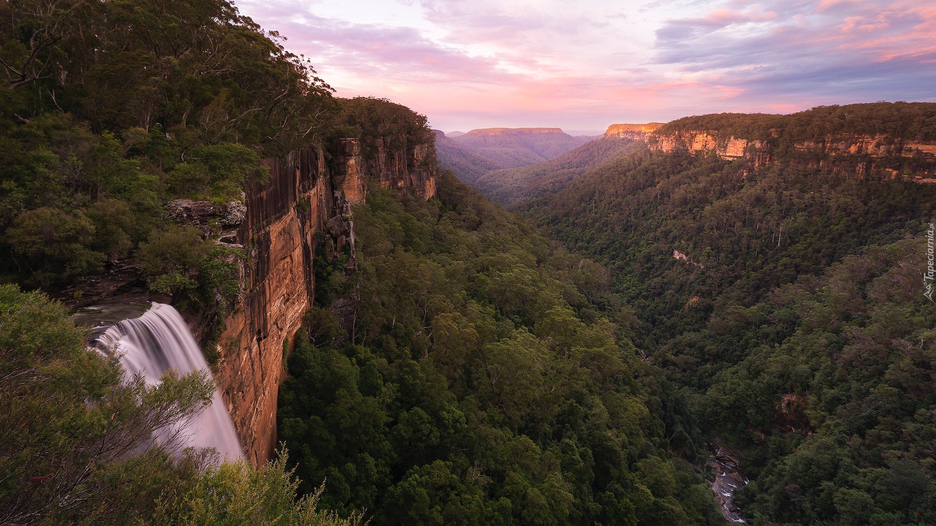 Australia, Nowa Południowa Walia, Góry, Skały, Wodospad, Fitzroy Falls, Lasy, Wąwóz