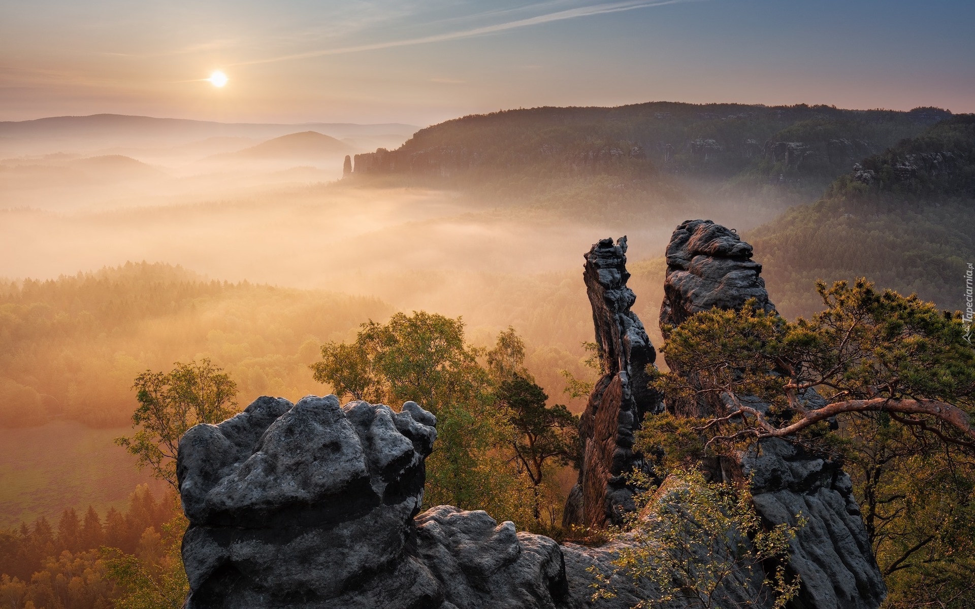 Góry Połabskie, Drzewa, Skały, Mgła, Wschód słońca, Park Narodowy Saskiej Szwajcarii, Niemcy