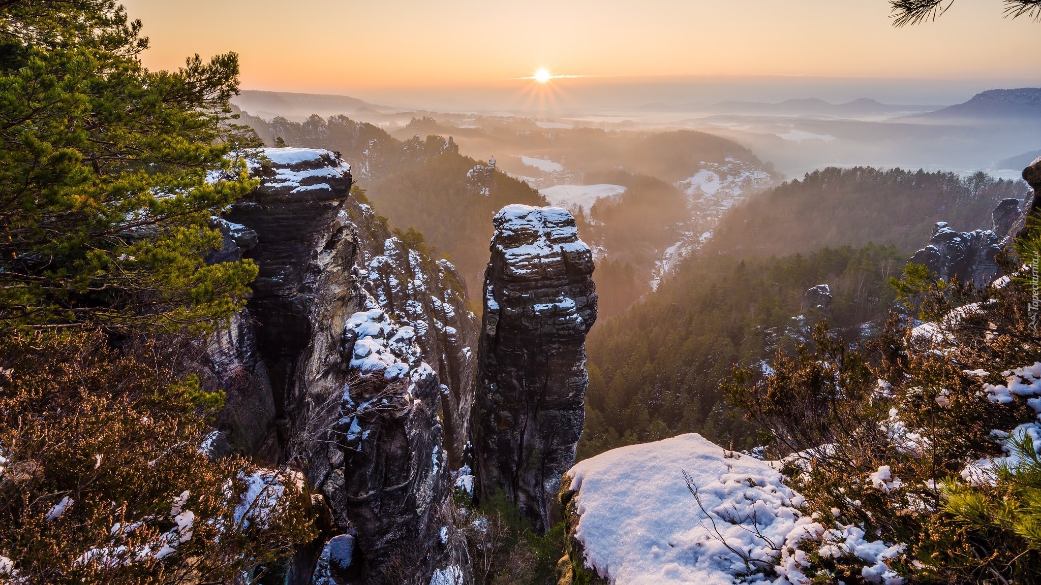 Góry Połabskie, Skały, Drzewa, Wschód słońca, Park Narodowy Saskiej Szwajcarii, Niemcy