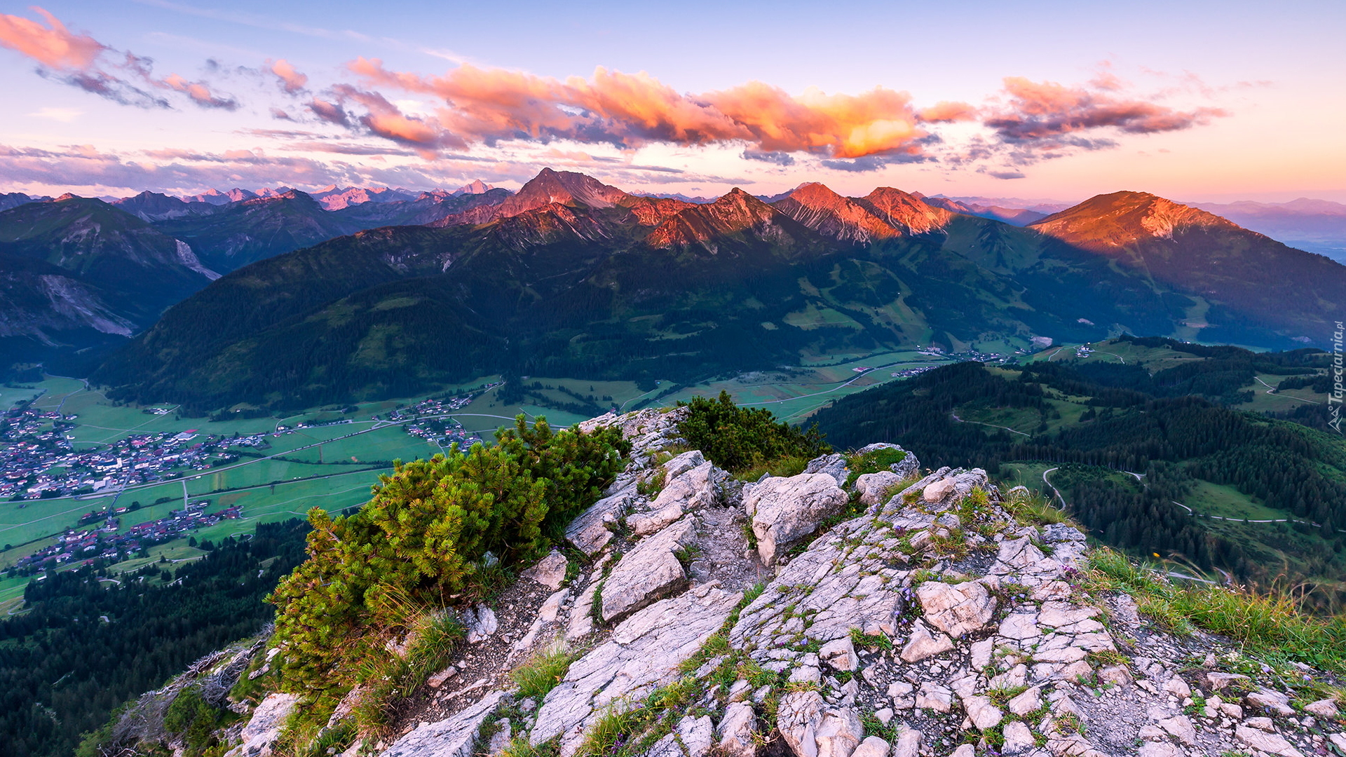 Góry, Alpy Algawskie, Dolina, Tannheimer Valley, Skała, Rośliny, Tannheim, Austria