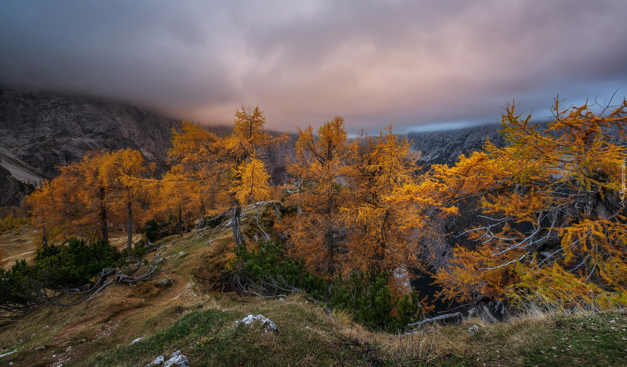 Jesień, Drzewa, Góry, Alpy Julijskie, Mgła, Szczyt Slemenova Spica, Słowenia