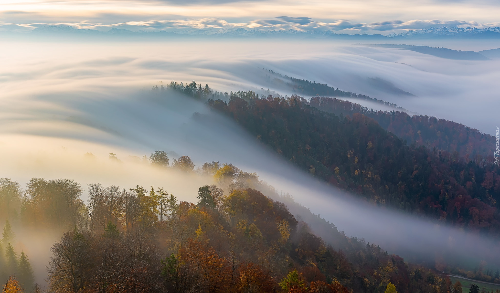 Chmury, Mgła, Góry, Jesień, Szczyt, Uetliberg, Zurich, Szwajcaria