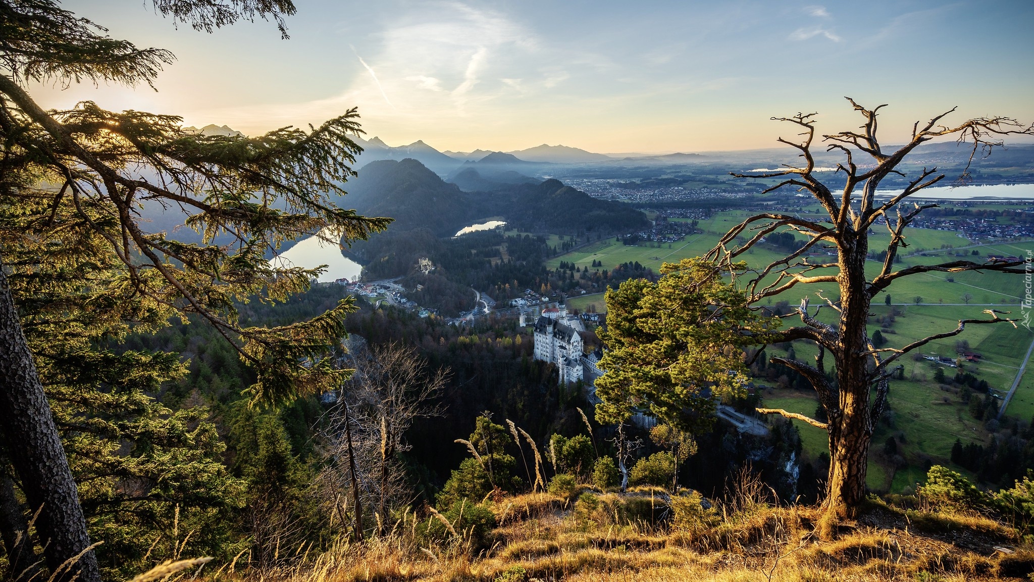 Niemcy, Bawaria, Góry, Rzeka, Drzewa, Zamek Neuschwanstein