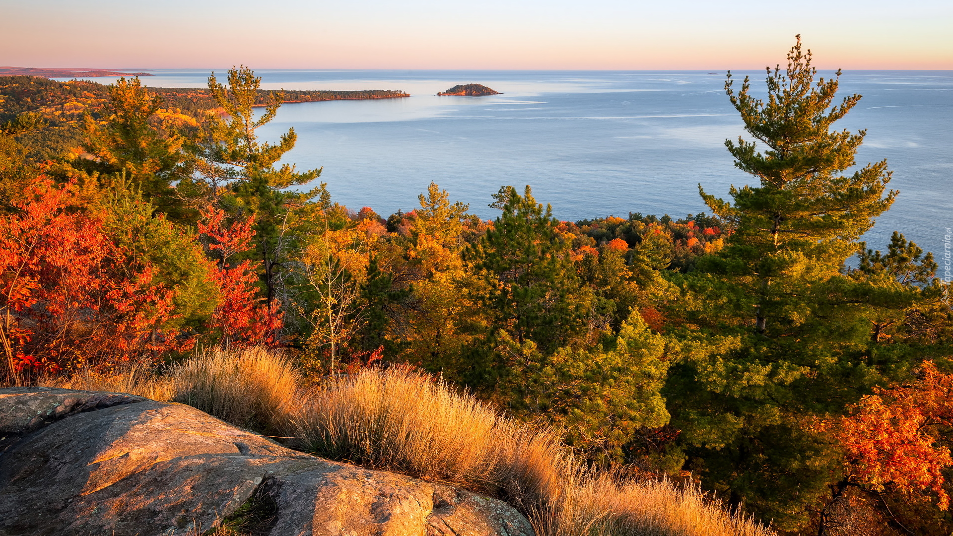 Jezioro, Superior Lake, Skała, Trawa, Kolorowe, Drzewa, Jesień, Michigan, Stany Zjednoczone