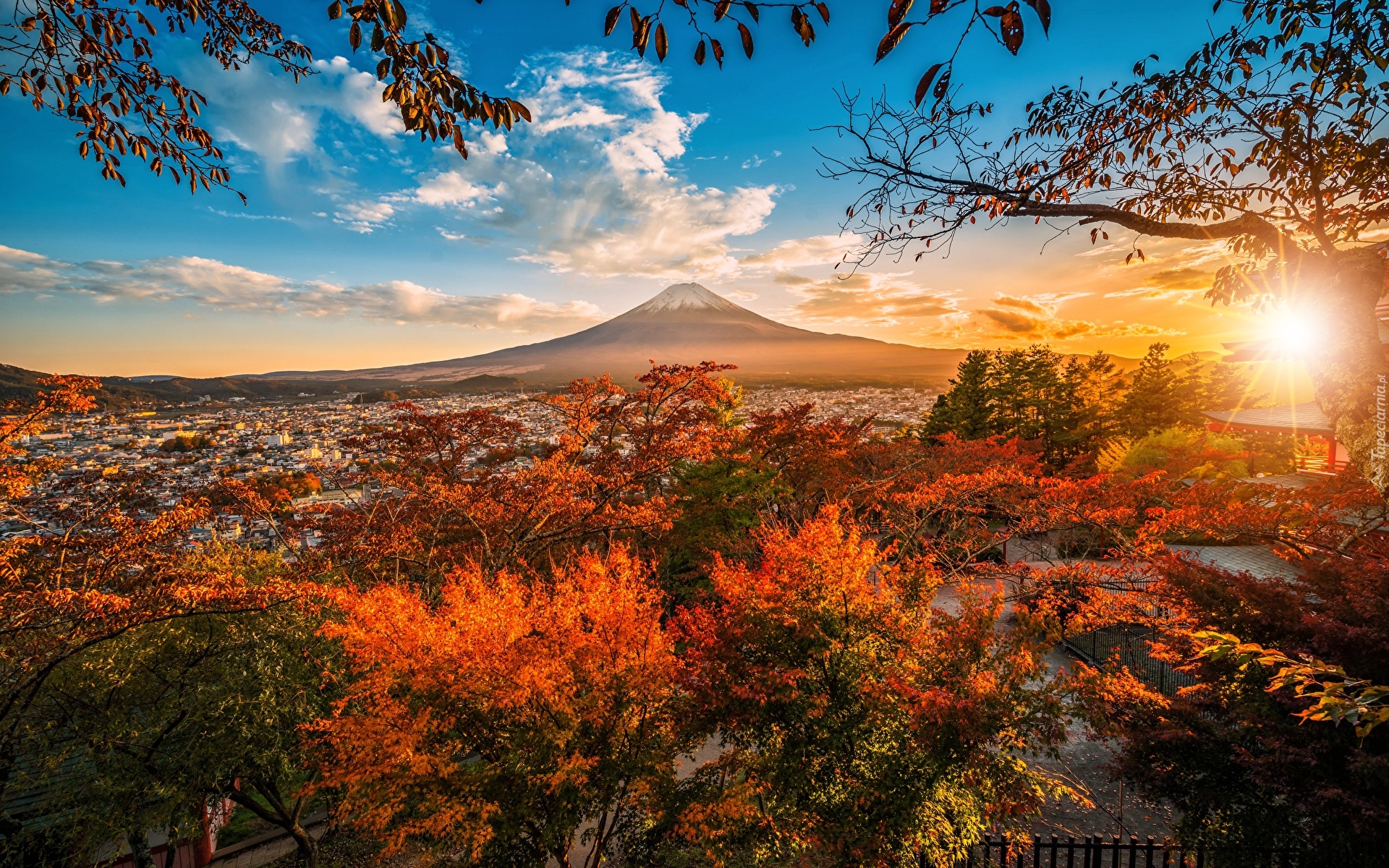 Japonia, Wyspa Honsiu, Miasto Fujiyoshida, Góra Fudżi, Krzewy, Drzewa, Jesień