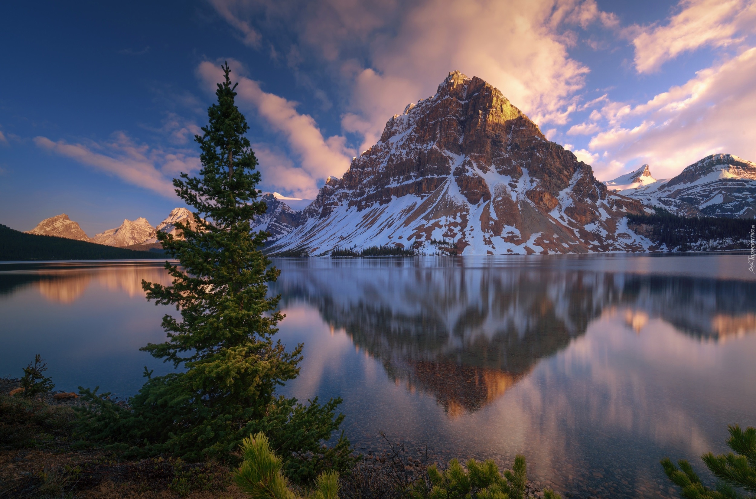 Kanada, Park Narodowy Banff, Góry, Szczyt Crowfoot Mountain, Jezioro Bow Lake, Drzewa