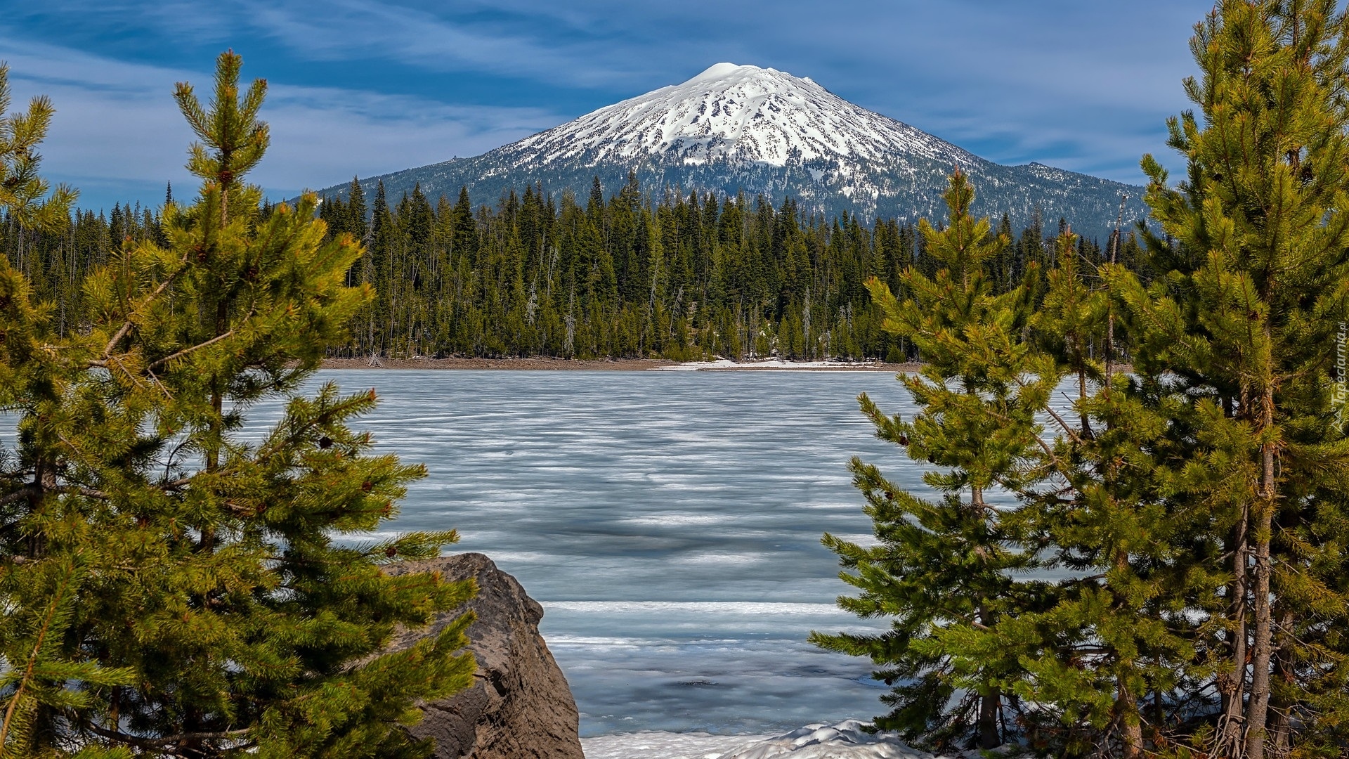 Góra, Mount Bachelor, Jezioro, Elk Lake, Drzewa, Sosny, Oregon, Stany Zjednoczone