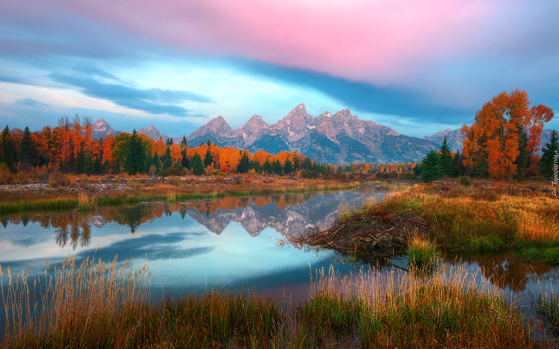 Jesień, Góry, Rzeka, Snake River, Pożółkłe, Drzewa, Trawa, Chmury, Park Narodowy Grand Teton, Stan Wyoming, Stany Zjednoczone