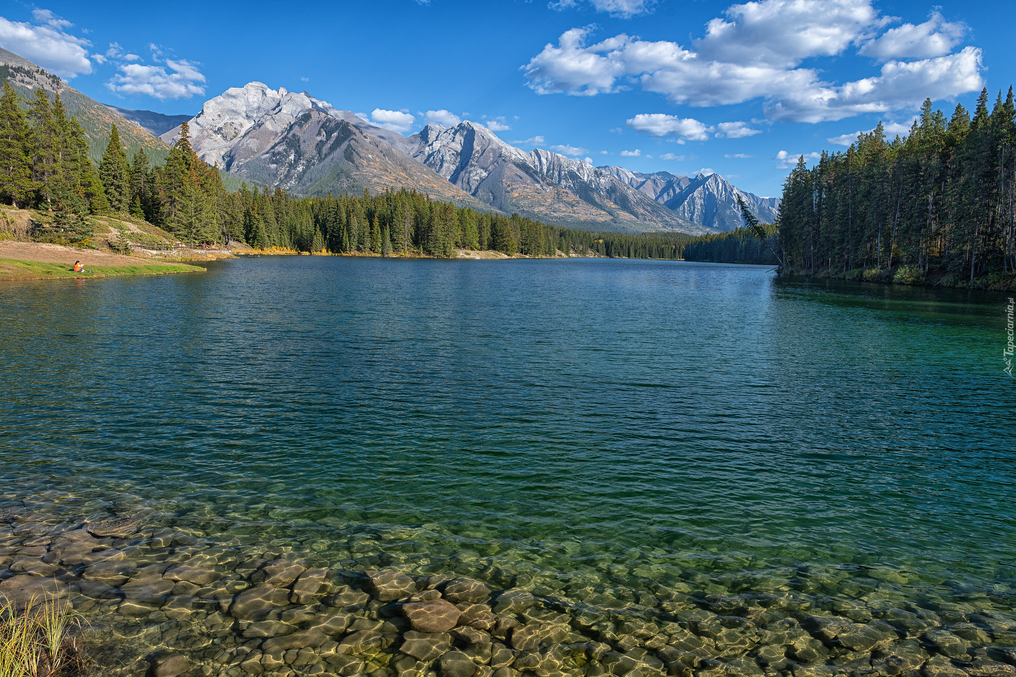 Jezioro, Johnson Lake, Kamienie, Drzewa, Las, Góry, Fairholme Range, Alberta, Kanada