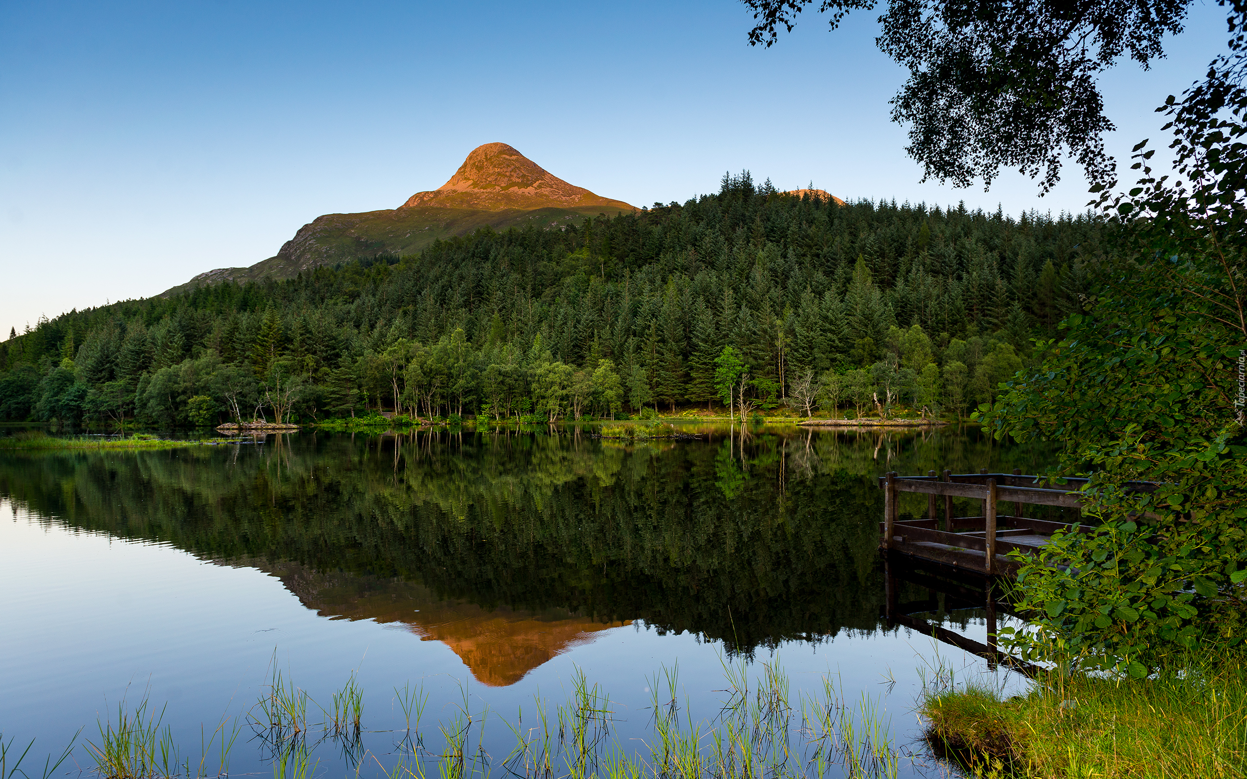 Szkocja, Góry, Jezioro, Las Glencoe Lochan, Pomost