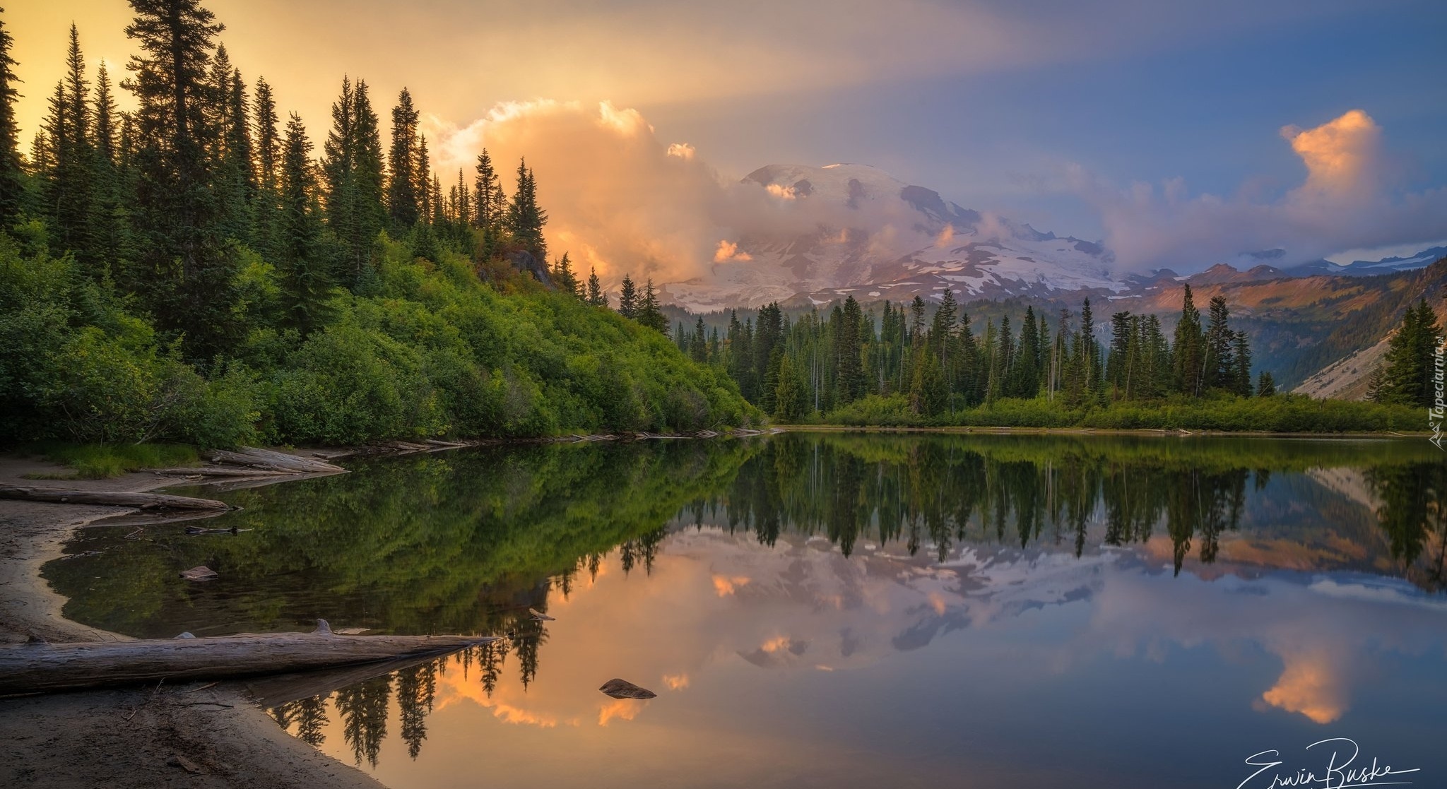 Jezioro, Góry, Drzewa, Las, Park Narodowy Mount Rainier, Stan Waszyngton, Stany Zjednoczone