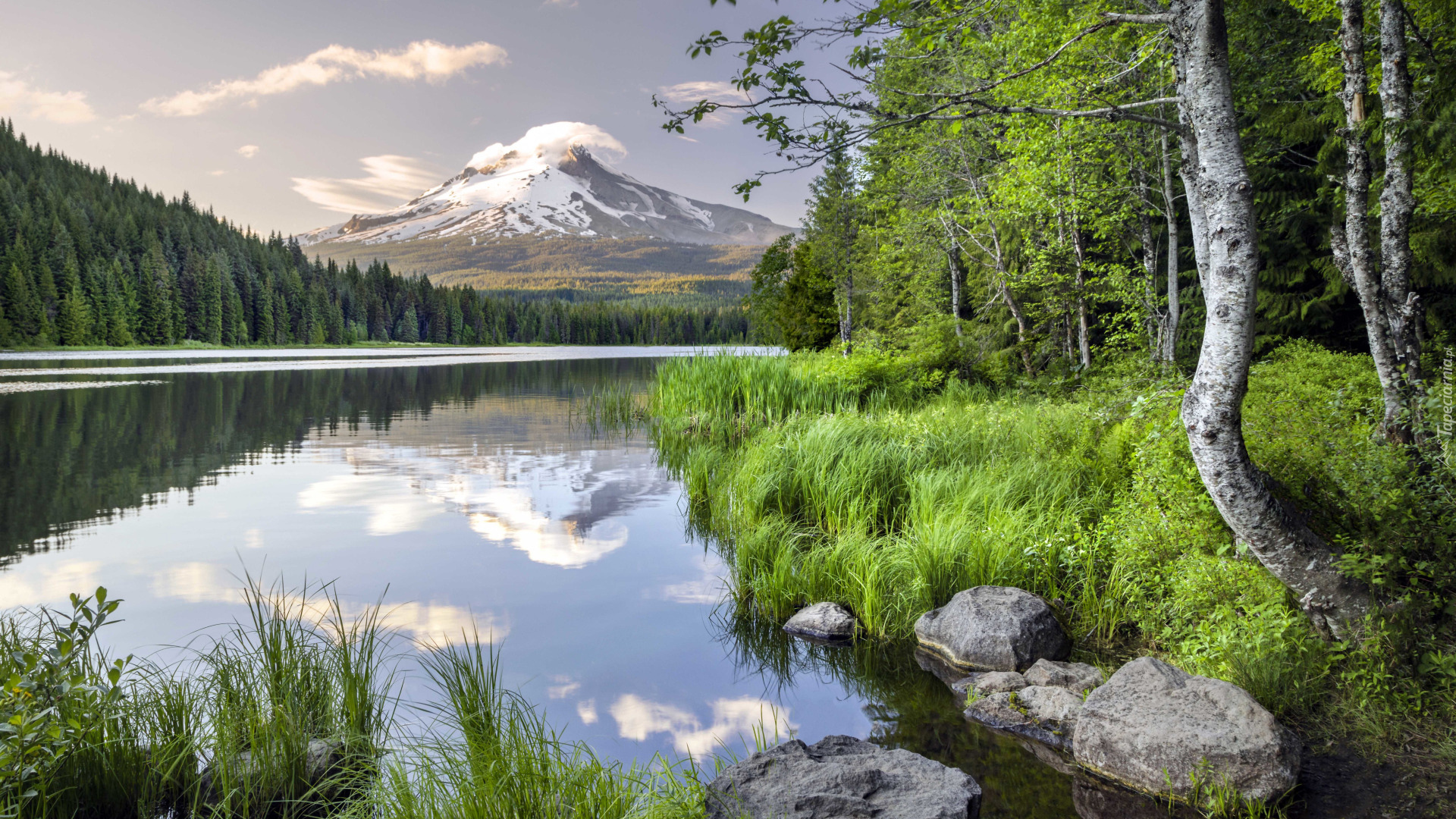 Stany Zjednoczone, Oregon, Stratowulkan, Mount Hood, Las, Trawa, Drzewa, Chmury, Góry, Jezioro, Odbicie, Kamienie, Brzeg