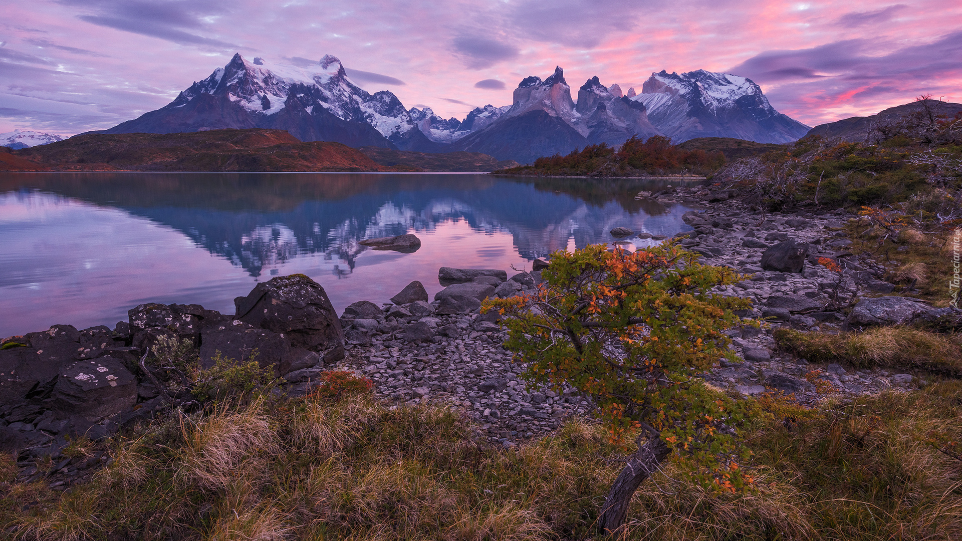 Chile, Patagonia, Park Narodowy Torres del Paine, Jezioro Pehoé, Góry Cordillera del Paine, Masyw Torres del Paine, Kamienie, Brzeg, Roślinność, Wschód słońca