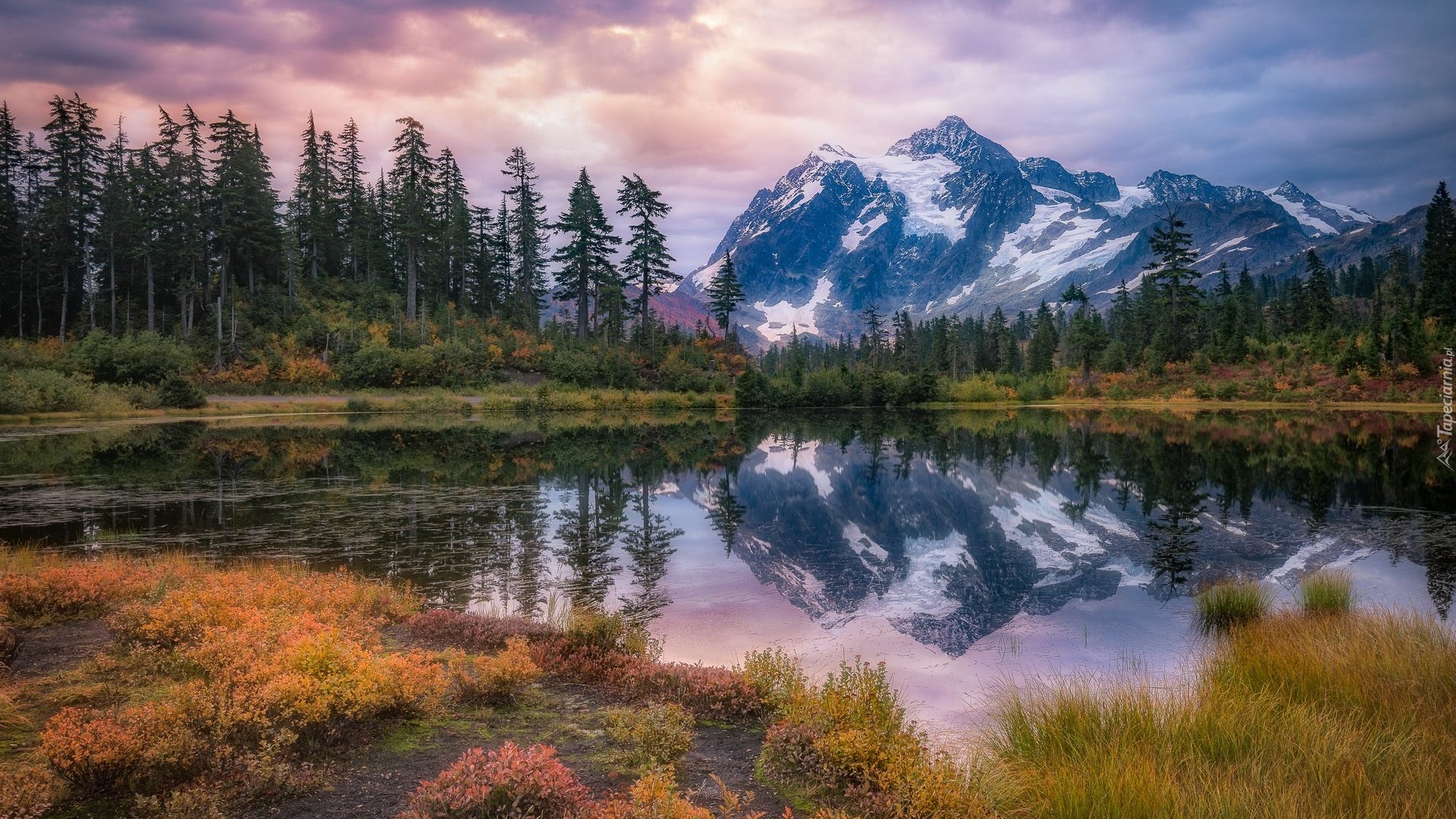 Góry, Góra, Mount Shuksan Drzewa, Jezioro, Picture Lake, Odbicie, Stan Waszyngton, Stany Zjednoczone, Park Narodowy Północnych Gór Kaskadowych