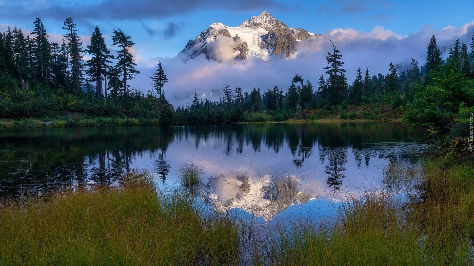 Góry, Mount Baker, Drzewa, Jezioro, Picture Lake, Mgła, Odbicie, Stan Waszyngton, Stany Zjednoczone