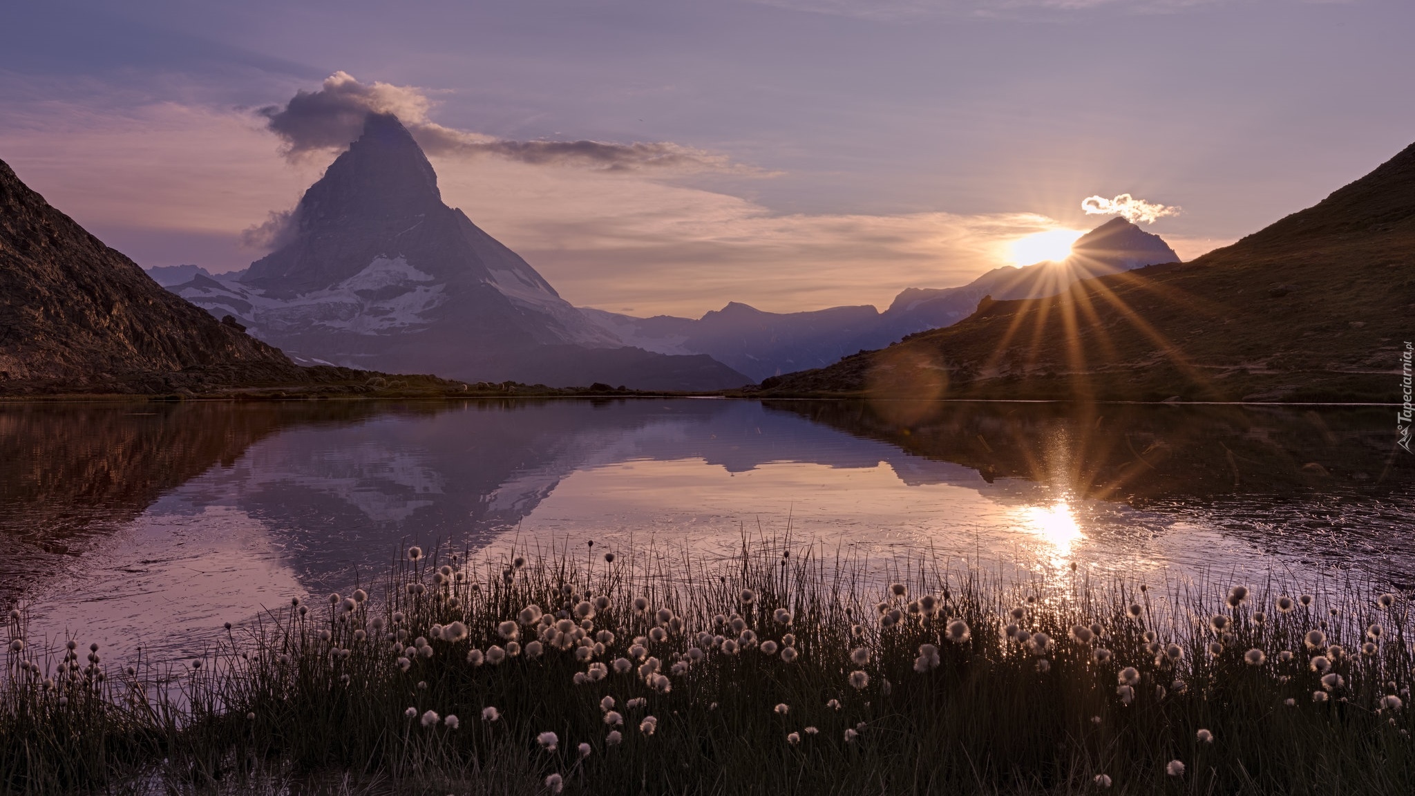 Góry, Alpy Pennińskie, Góra, Matterhorn, Jezioro, Riffelsee, Promienie słońca, Rośliny, Kanton Valais, Szwajcaria